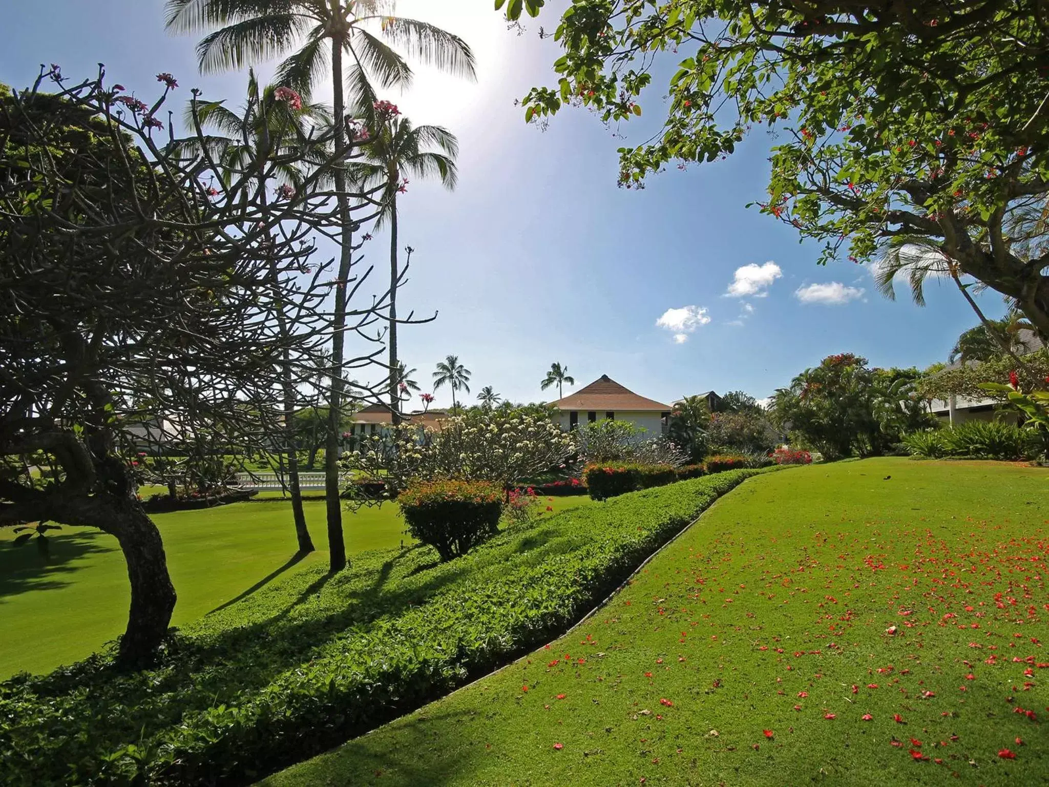 Area and facilities, Garden in Castle Kiahuna Plantation & The Beach Bungalows