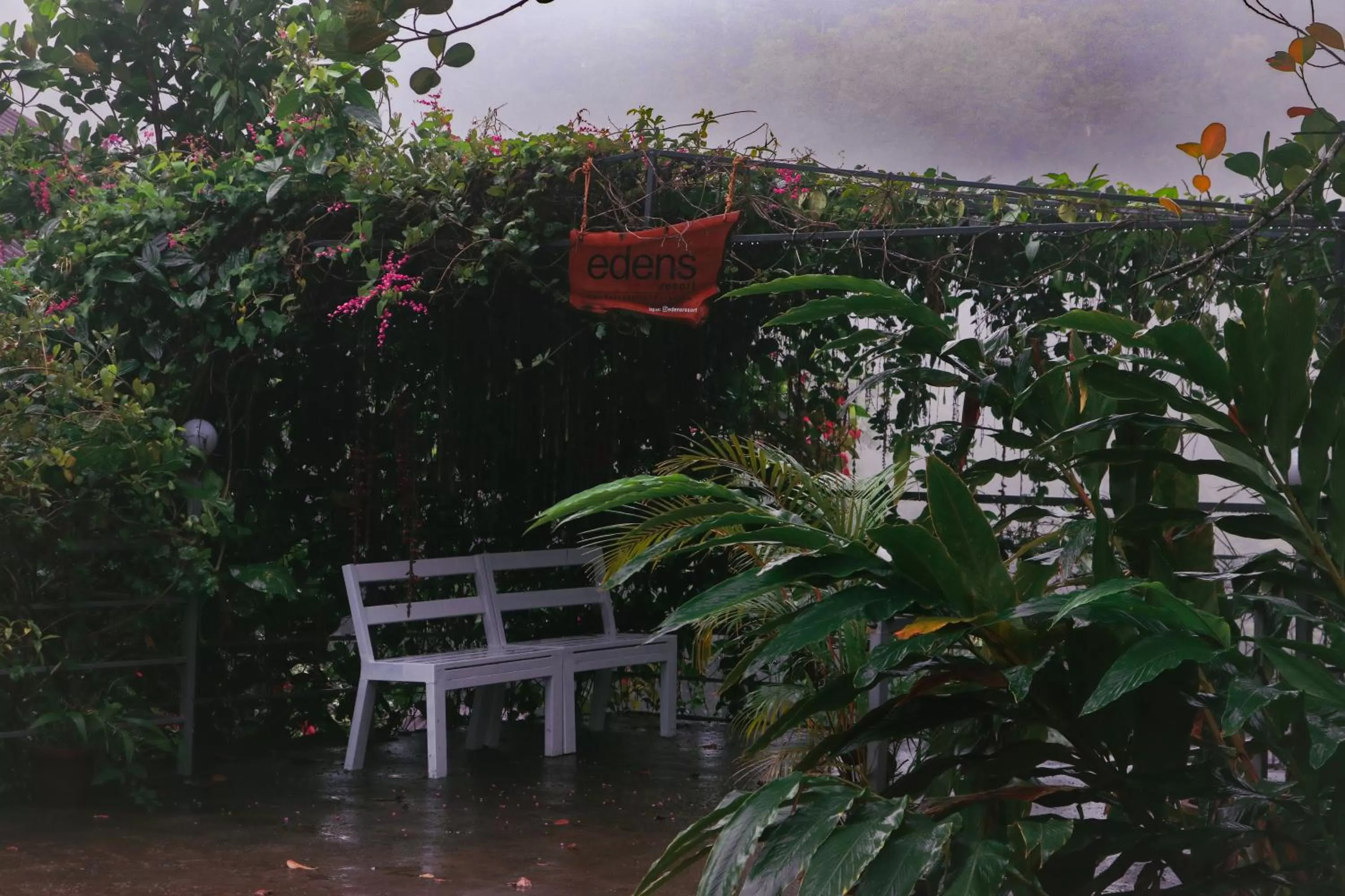 Property building in Edens Munnar