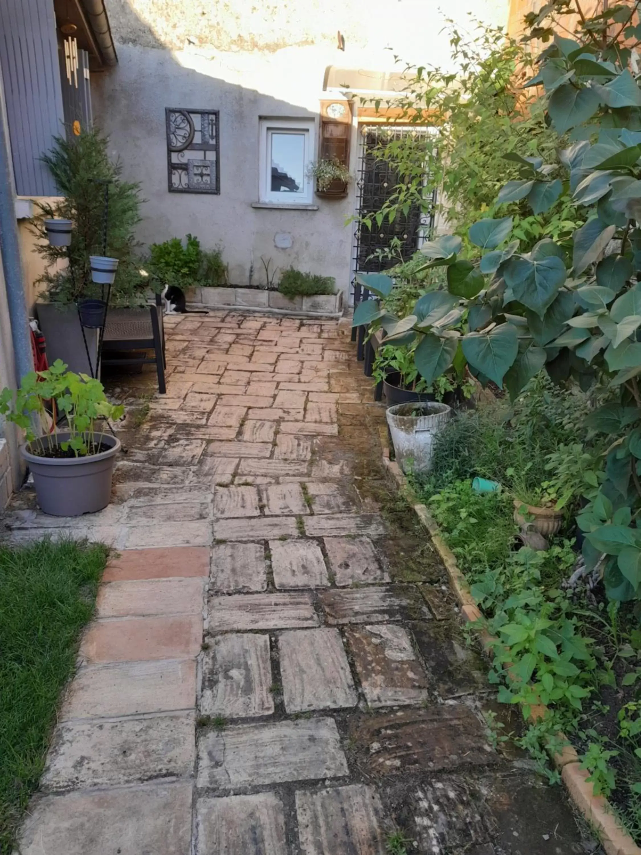 Garden, Property Building in Le Perroquet Vert