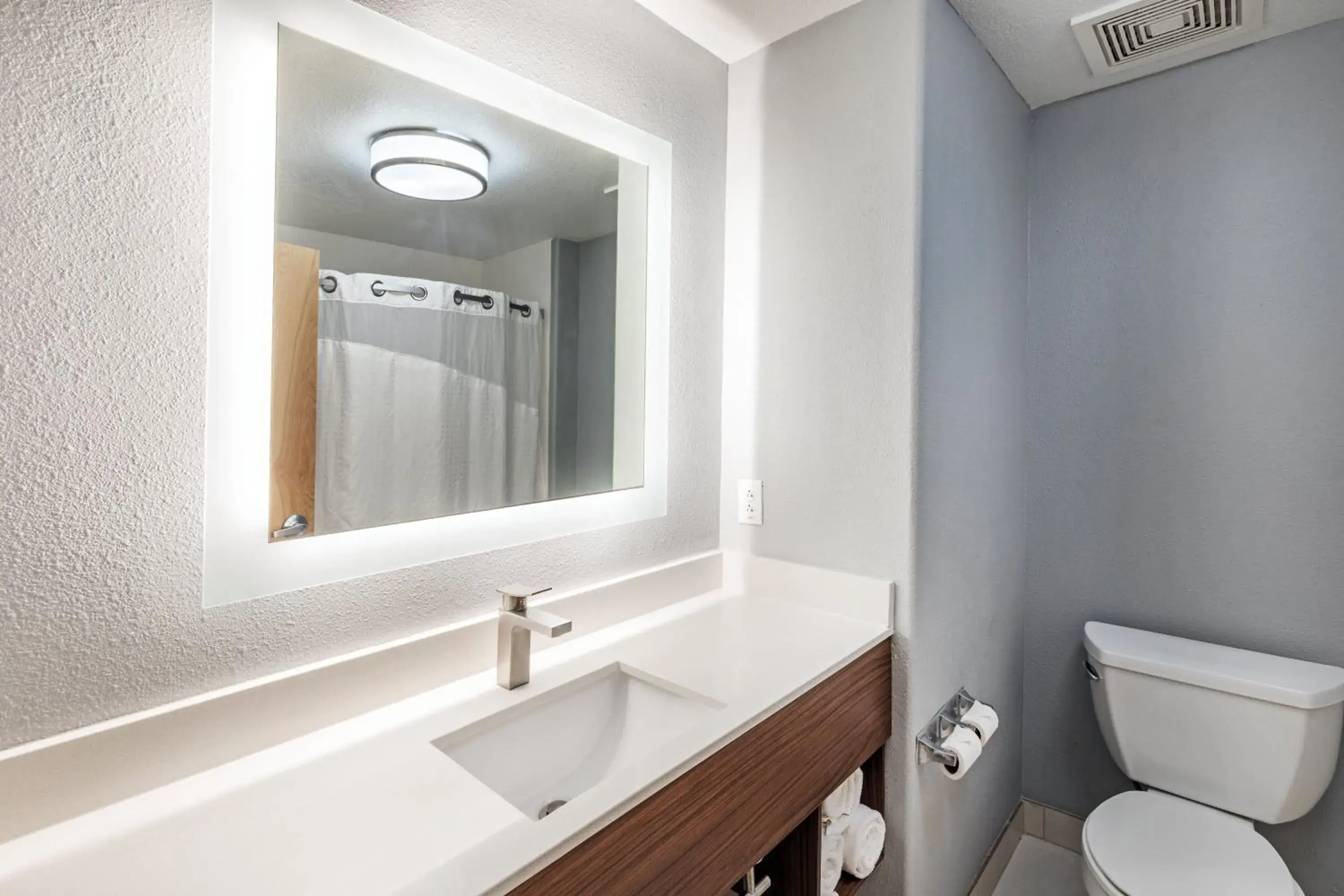 Bathroom in Holiday Inn Express Hotel & Suites Austin NE-Hutto, an IHG Hotel