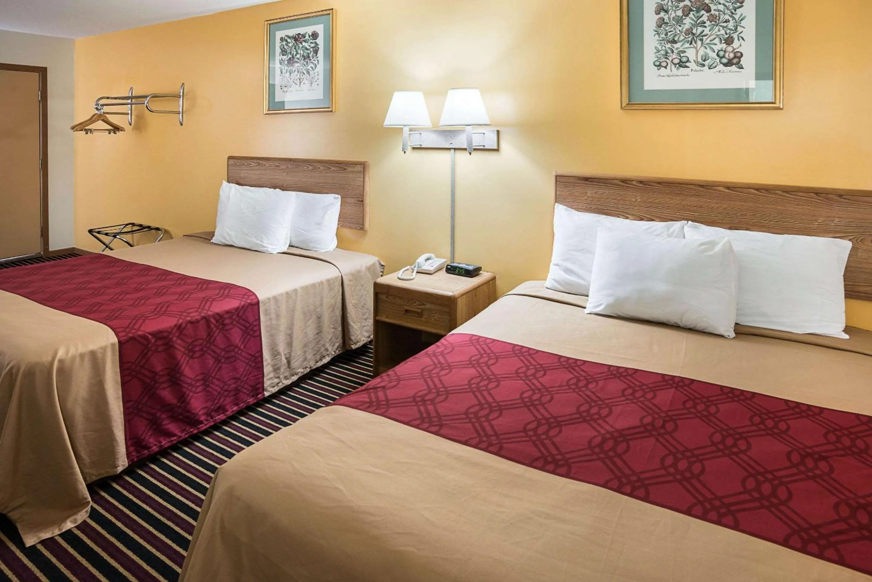 Photo of the whole room, Bed in Rodeway Inn & Suites