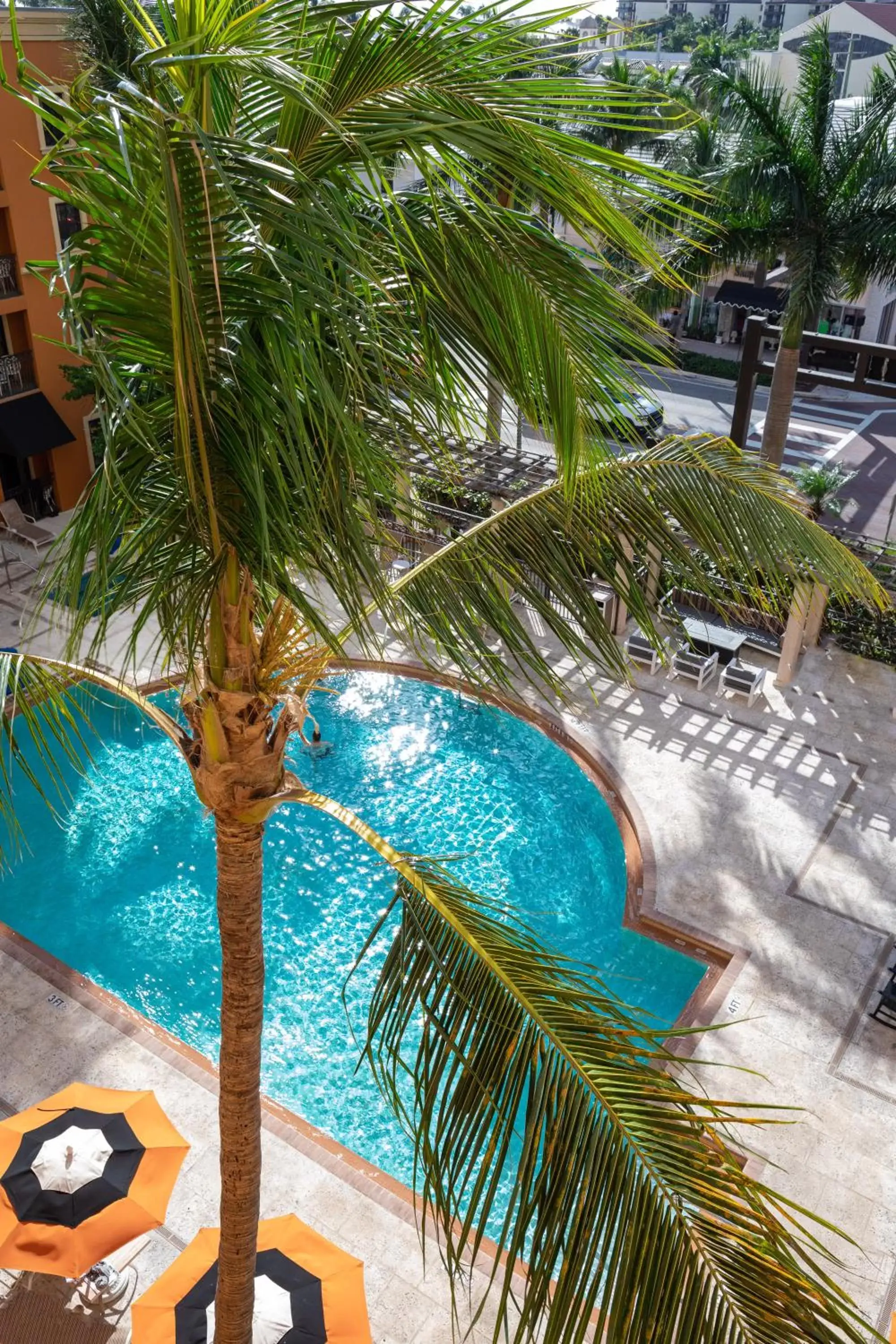 Pool View in The Atlantic Suites on the Ave