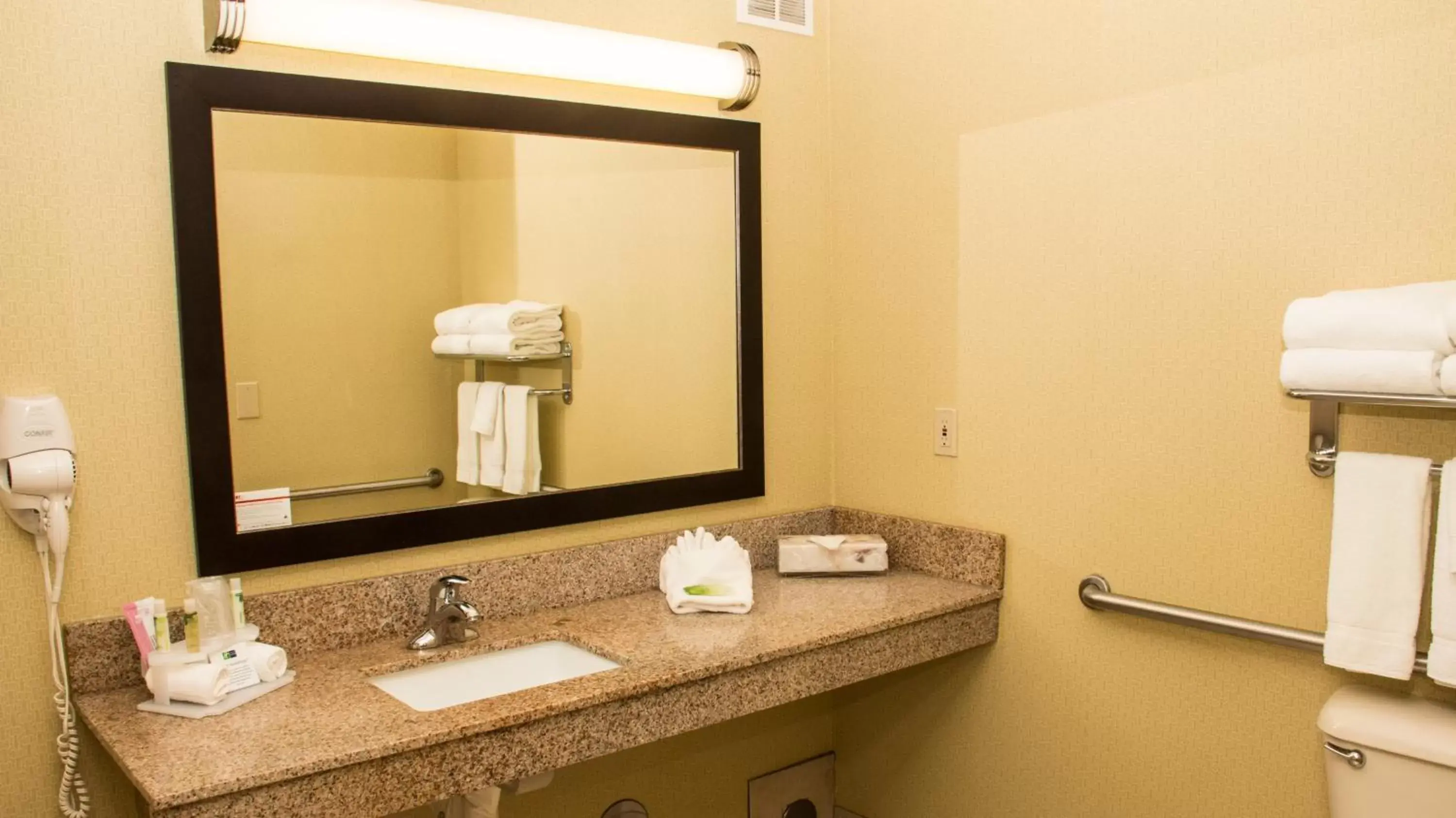 Photo of the whole room, Bathroom in Holiday Inn Express Hotel & Suites Saginaw, an IHG Hotel