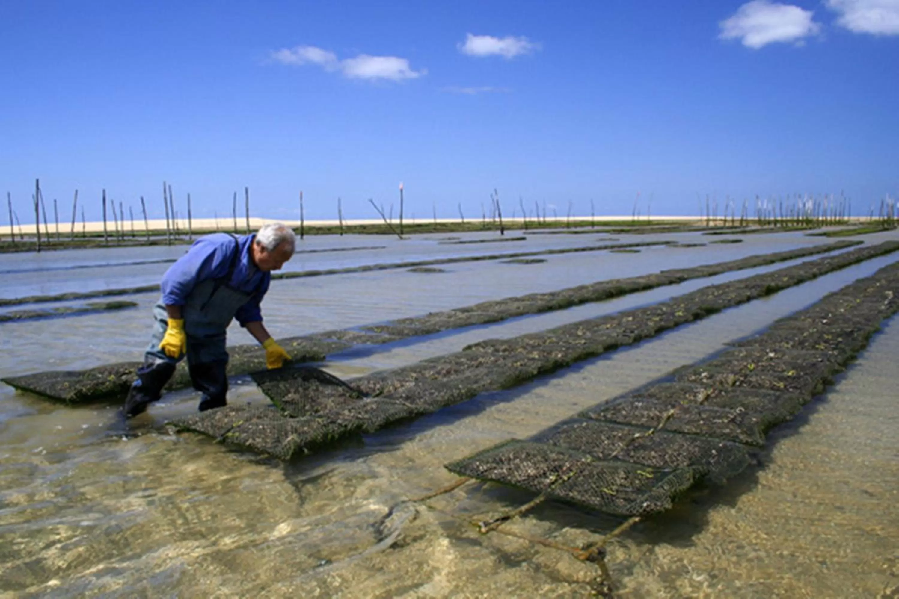 Fitness centre/facilities in Holiday Inn Bordeaux Sud - Pessac by IHG