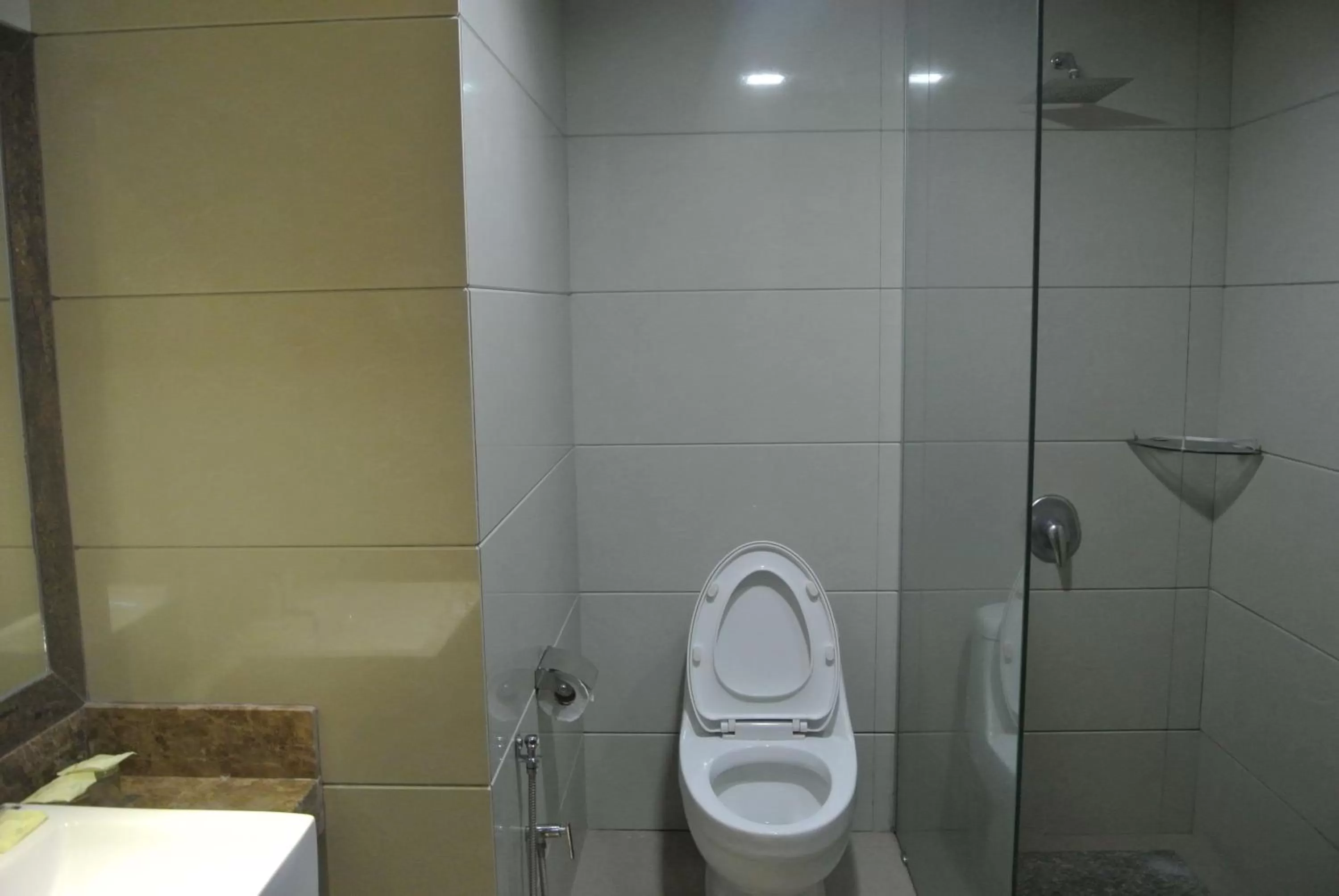 Toilet in Melang Inn