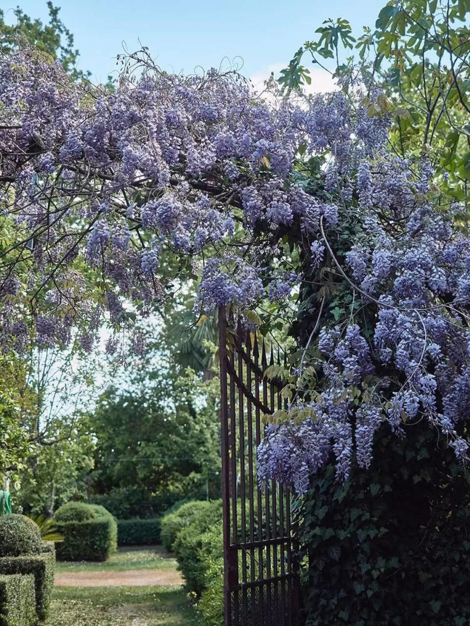 Garden in Le dimore de Il borgo del balsamico