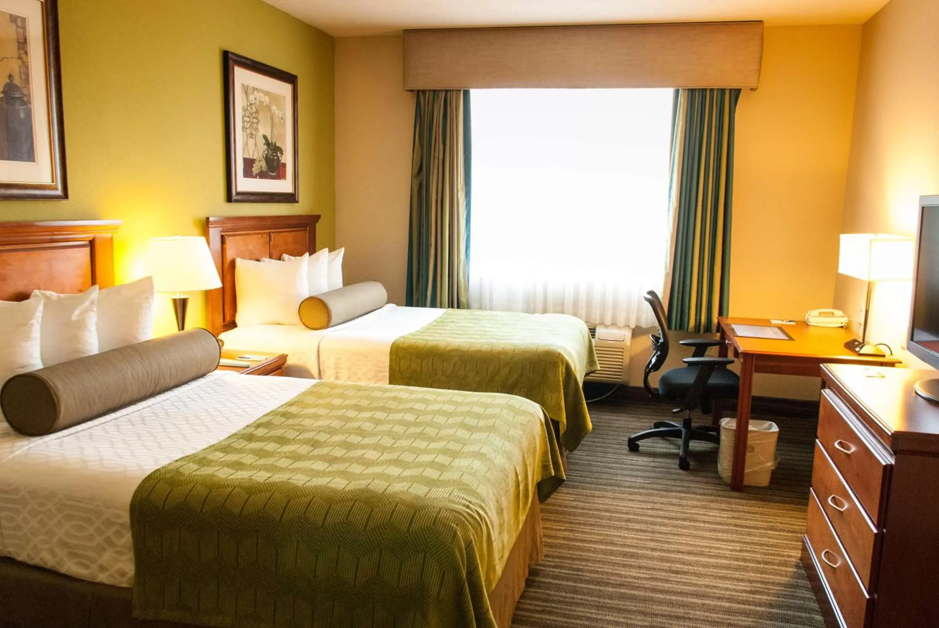 Photo of the whole room, Bed in Best Western Plus Miami-Doral/Dolphin Mall