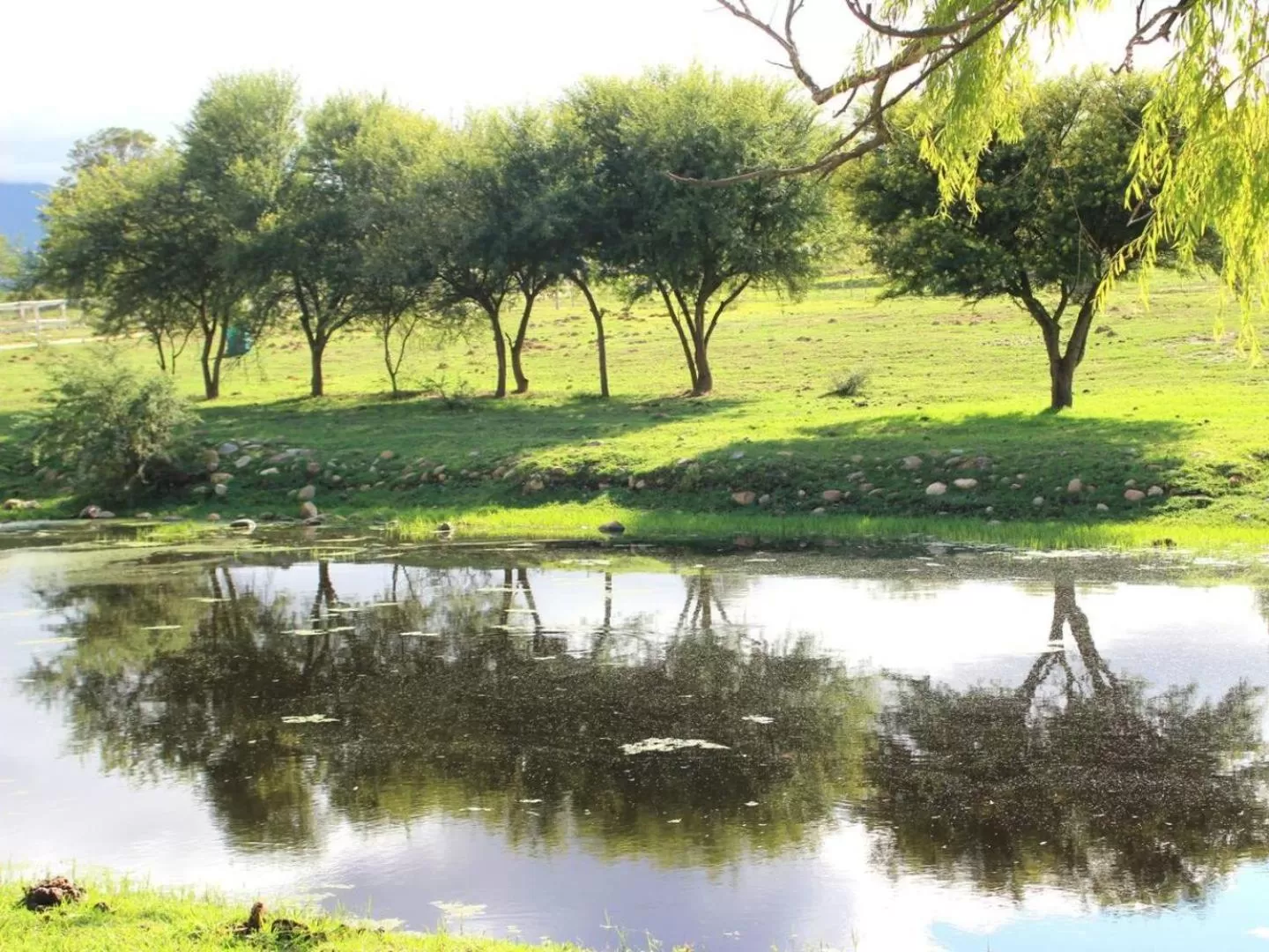 River view in Blue Mountain Farm Lodge, Cabins & Cottages