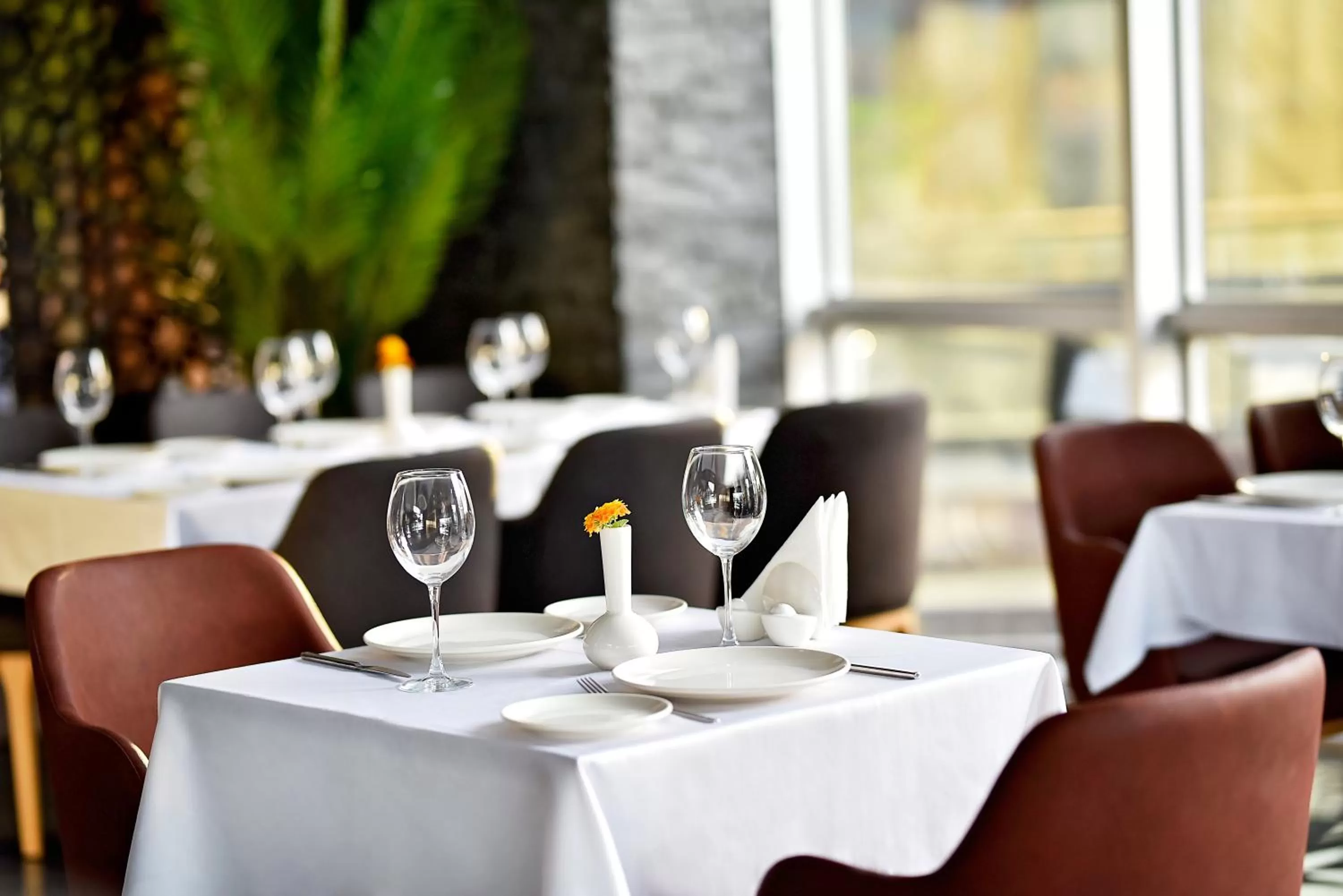 Restaurant/places to eat in Grand Sapphire City Hotel