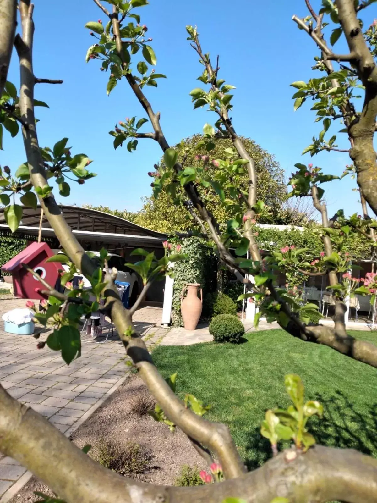 Garden view, Property Building in La Casa di Linda