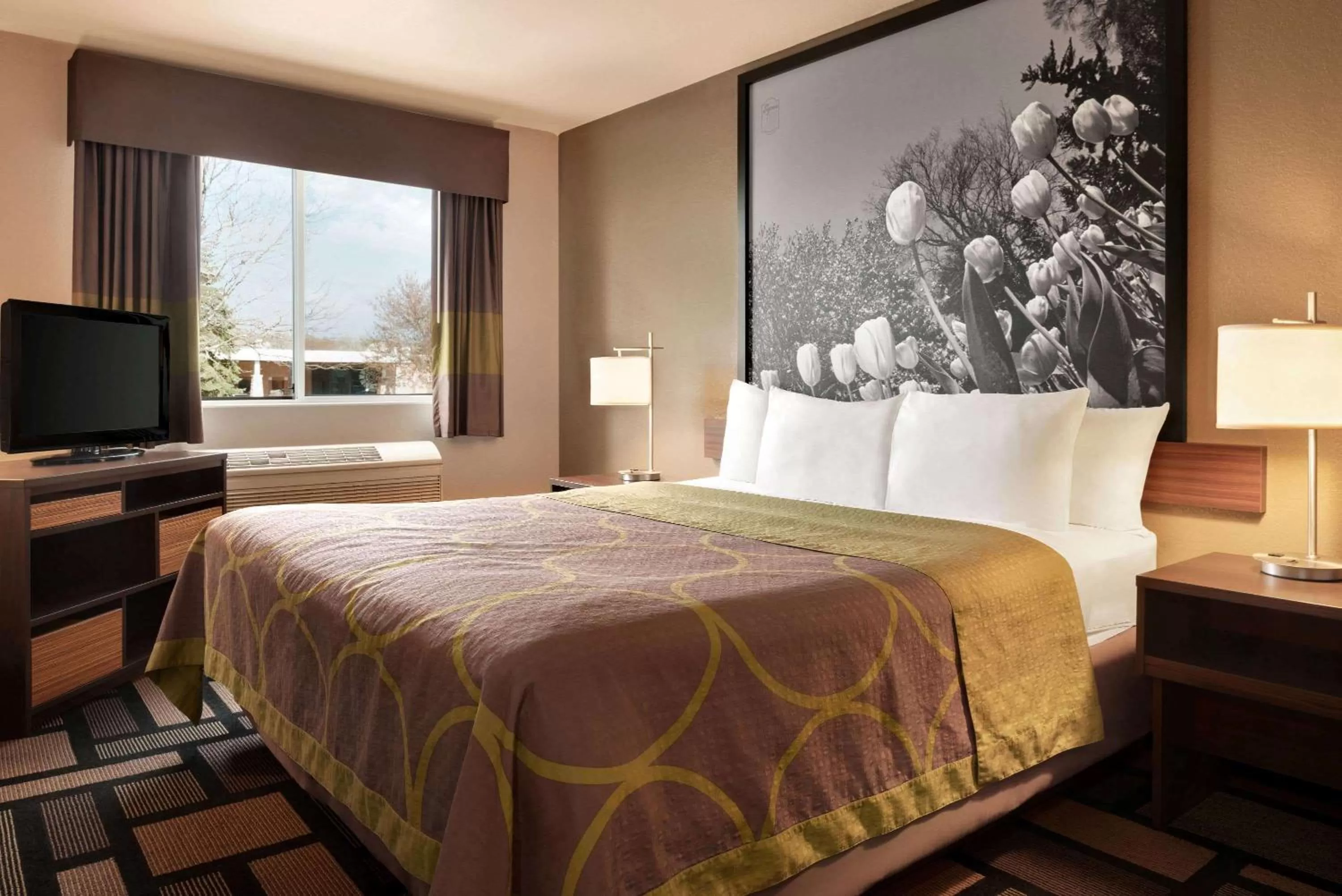 Photo of the whole room, Bed in Super 8 by Wyndham Akron S/Green/Uniontown OH