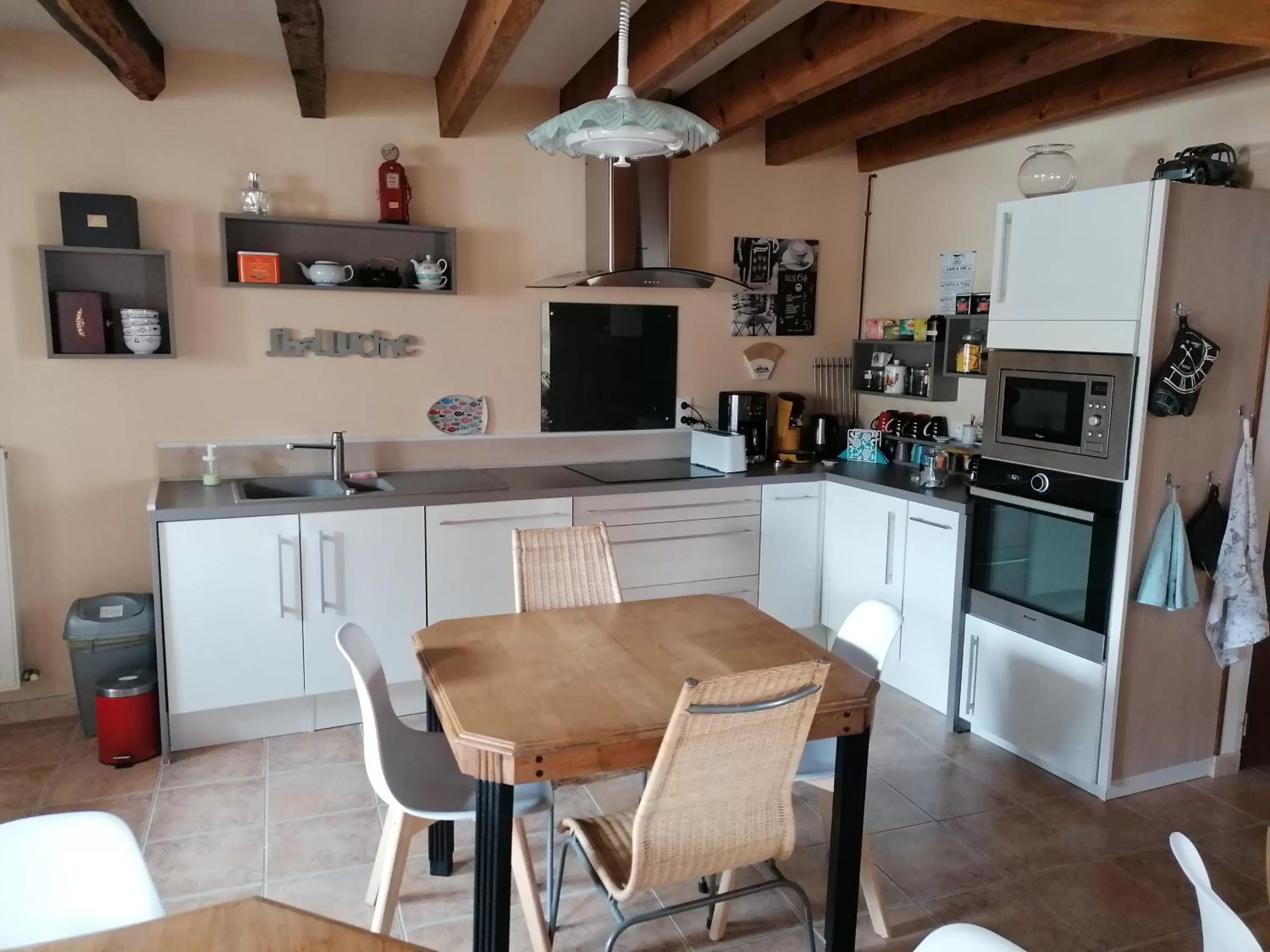 Communal kitchen, Kitchen/Kitchenette in La Parisière