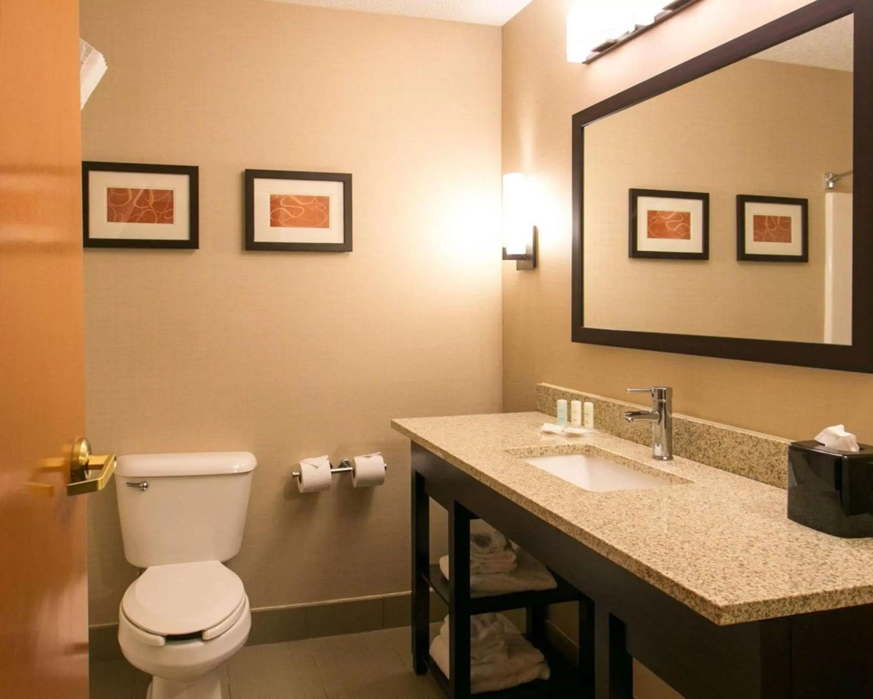 Bathroom in Comfort Suites Benton Harbor - St. Joseph