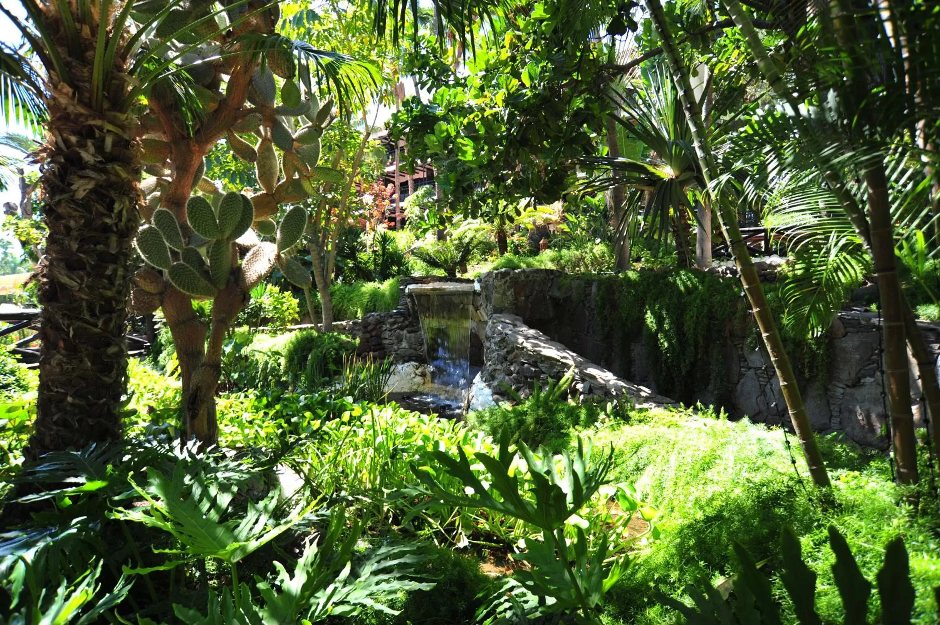 Garden in Hotel Parque Tropical