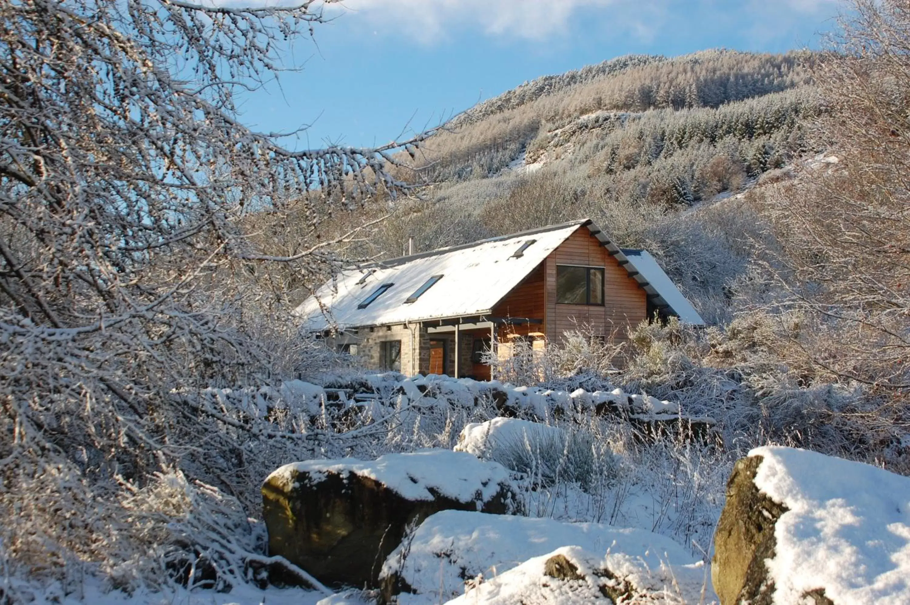 Property building, Winter in The Steading