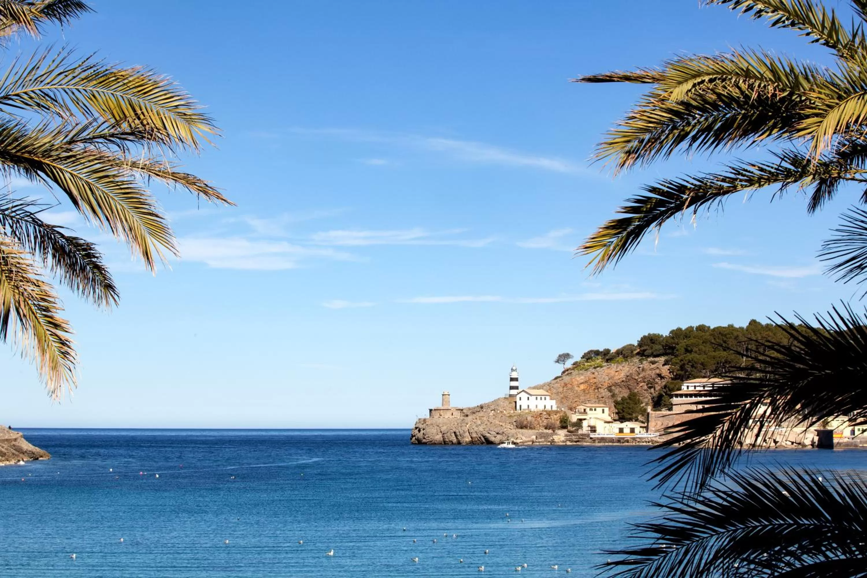 Day, Beach in Hotel Marina