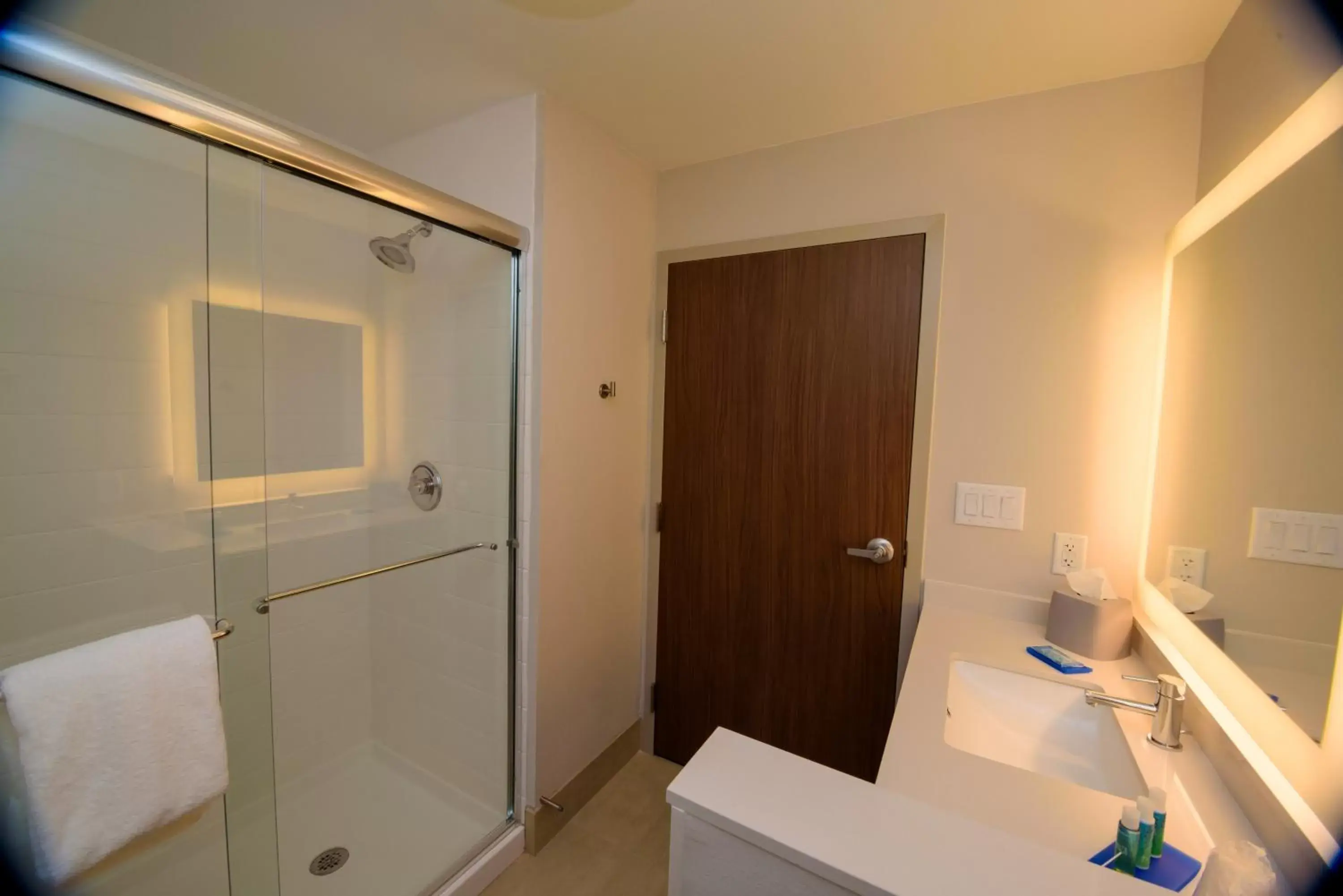 Shower, Bathroom in Holiday Inn Express & Suites McKinney - Frisco East, an IHG Hotel