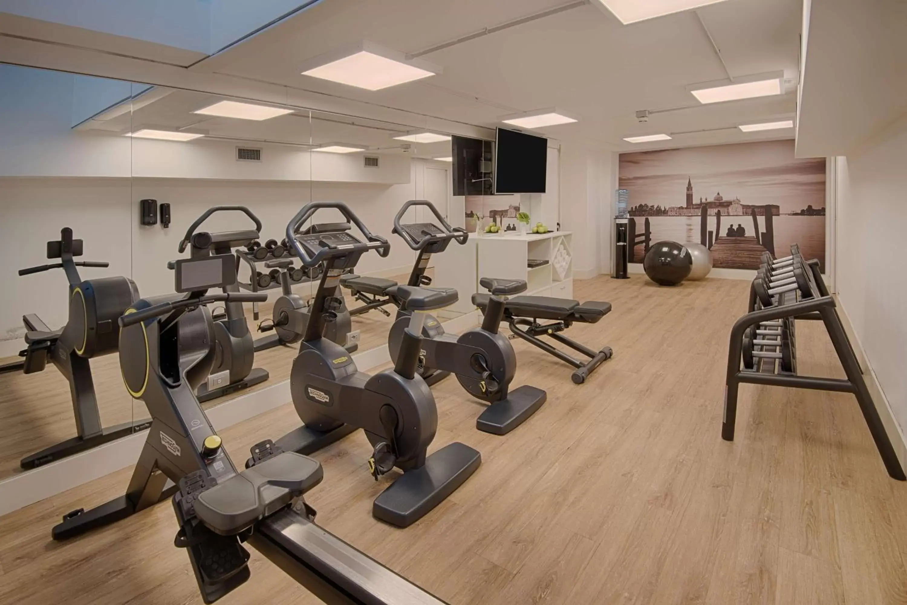 Fitness centre/facilities, Fitness Center/Facilities in NH Venezia Rio Novo