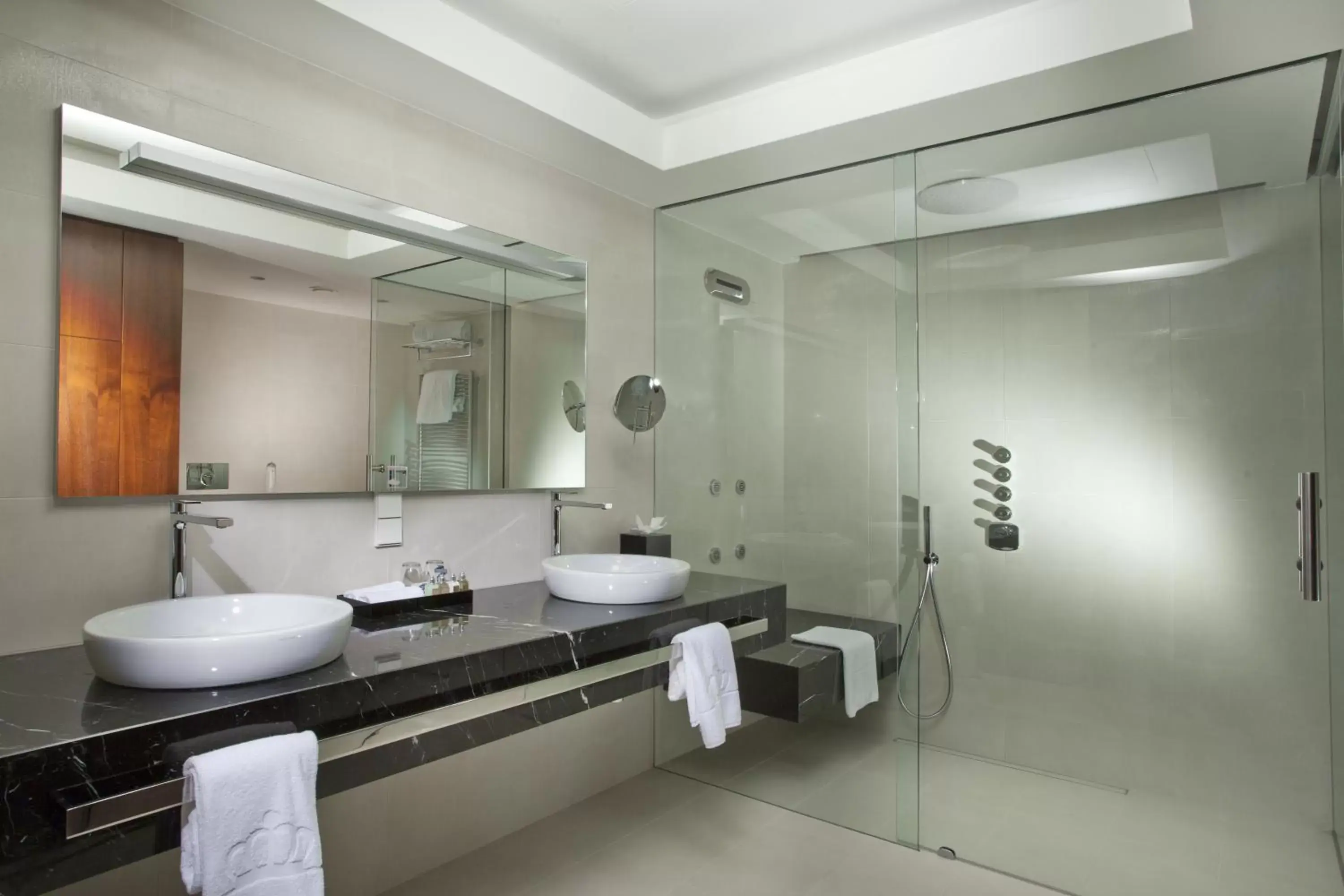 Shower, Bathroom in Hotel KINGS COURT