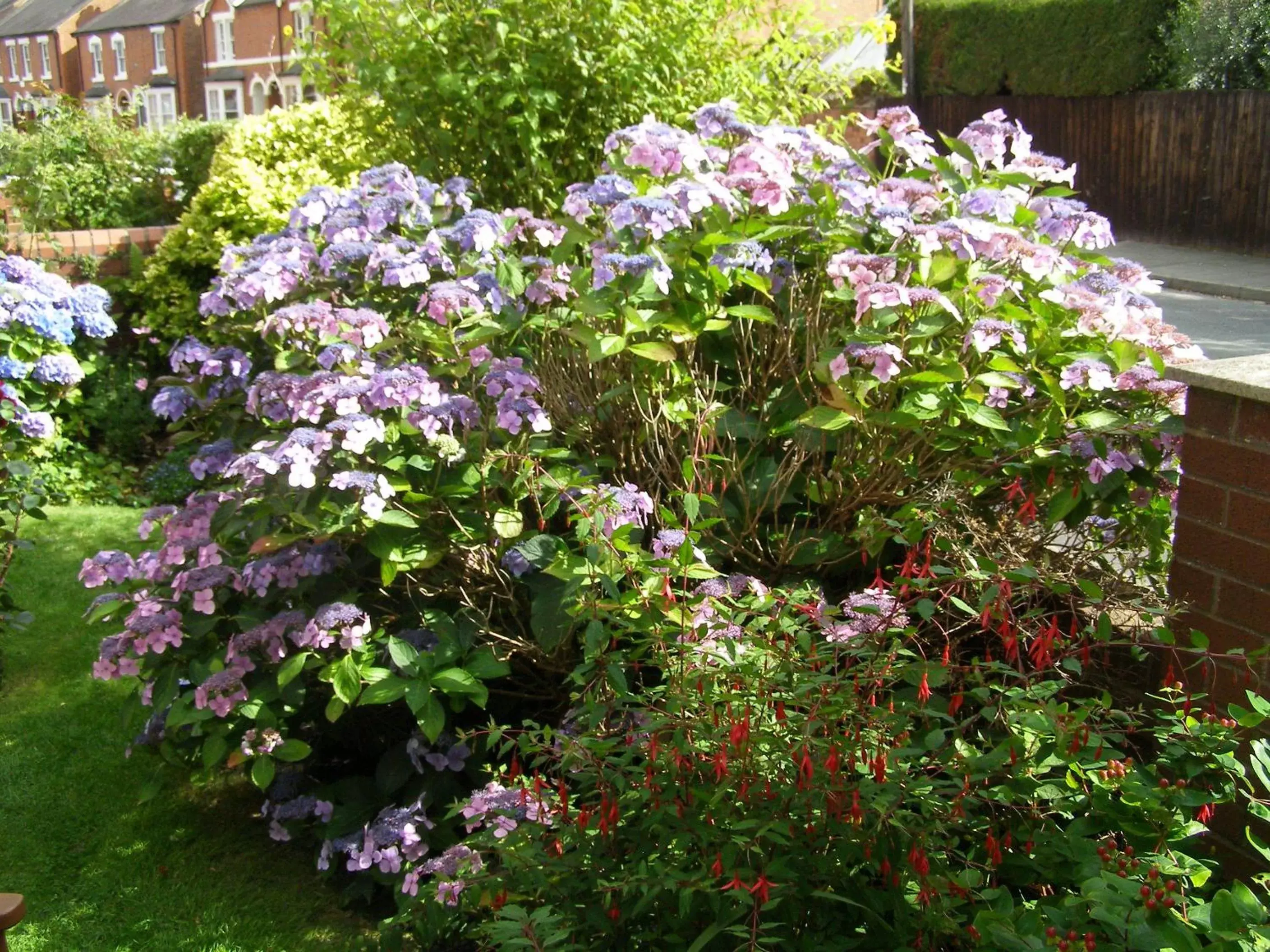 Garden in Anton Guest House Bed and Breakfast