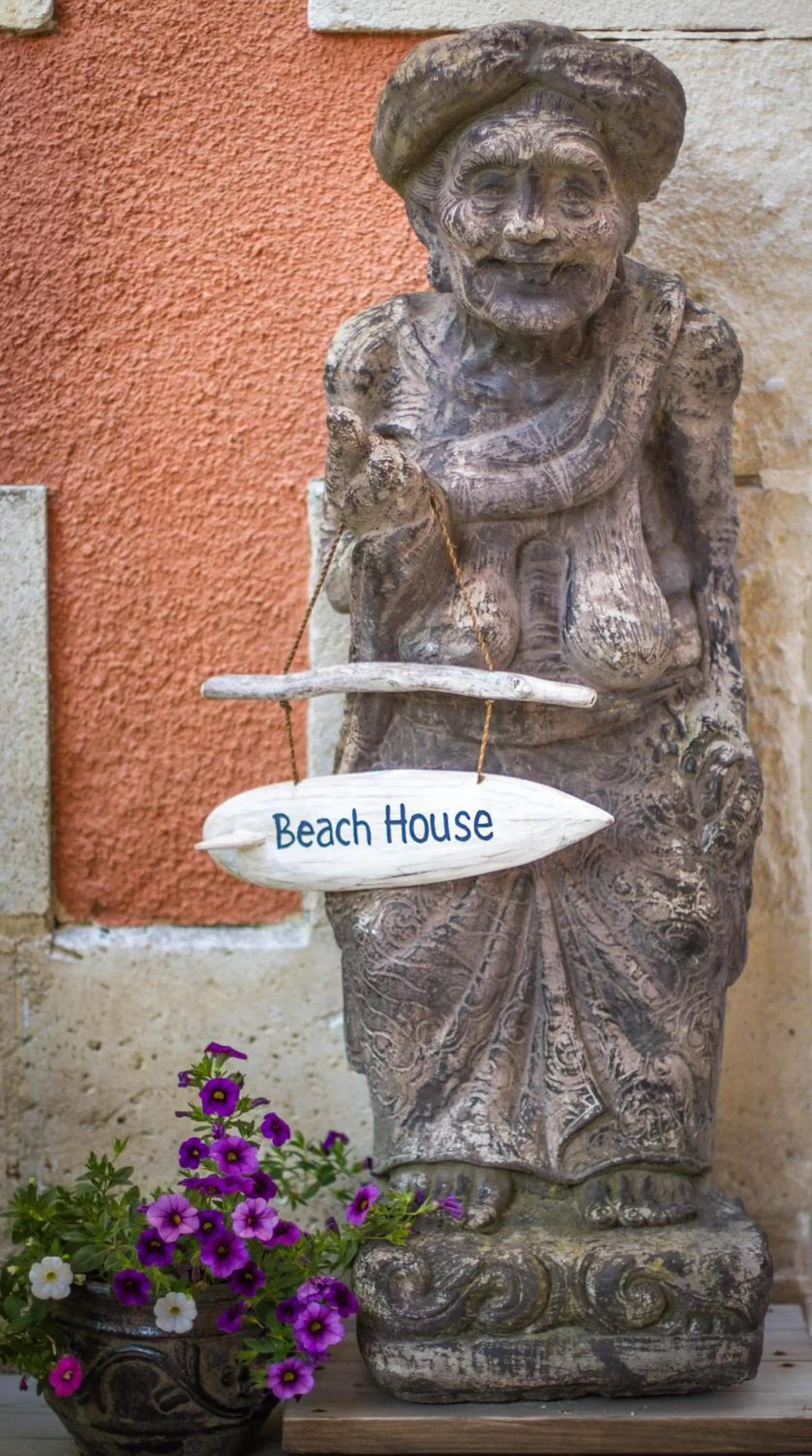 Patio in VILLA ZENITH Hostel - LA MAISON