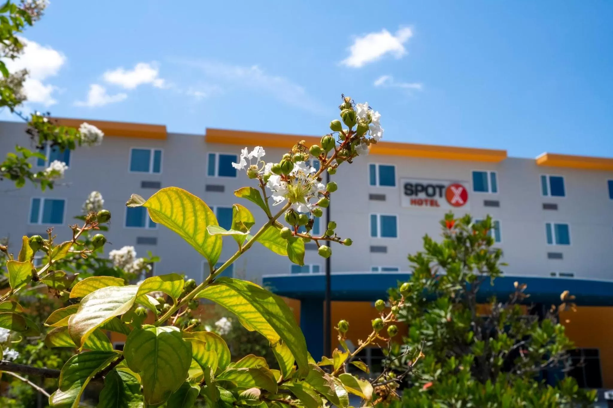 Property building in SPOT X Hotel Orlando Intl Dr by The Red Collection