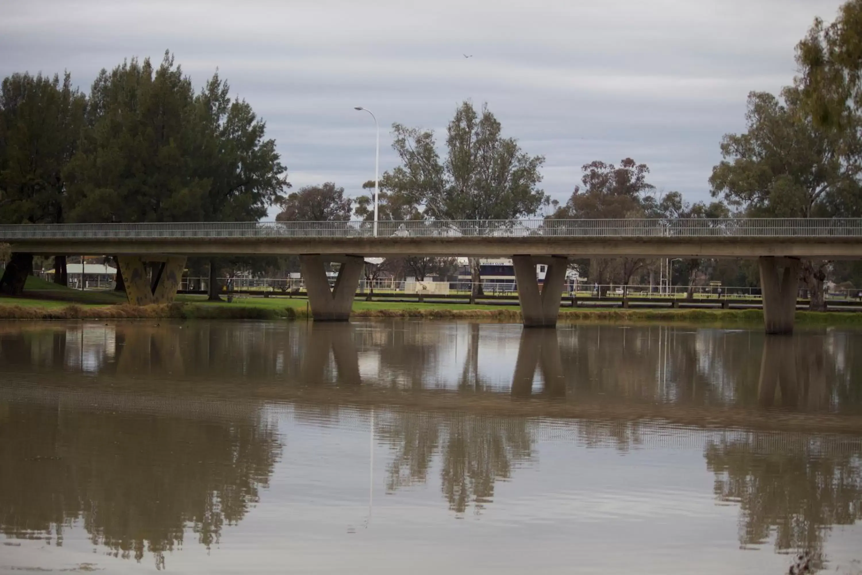 Natural landscape in Lake Forbes Motel