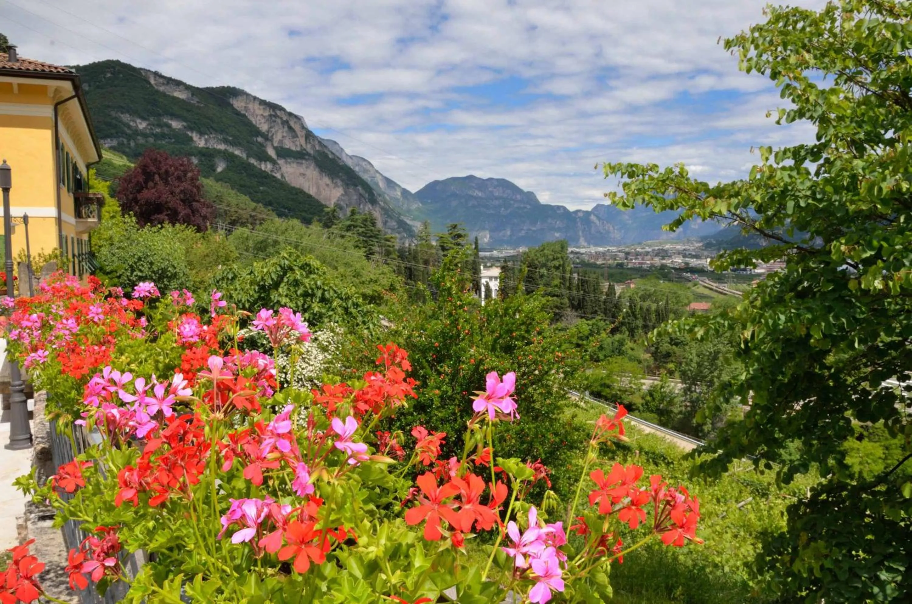 Garden in Hotel Garnì San Giorgio