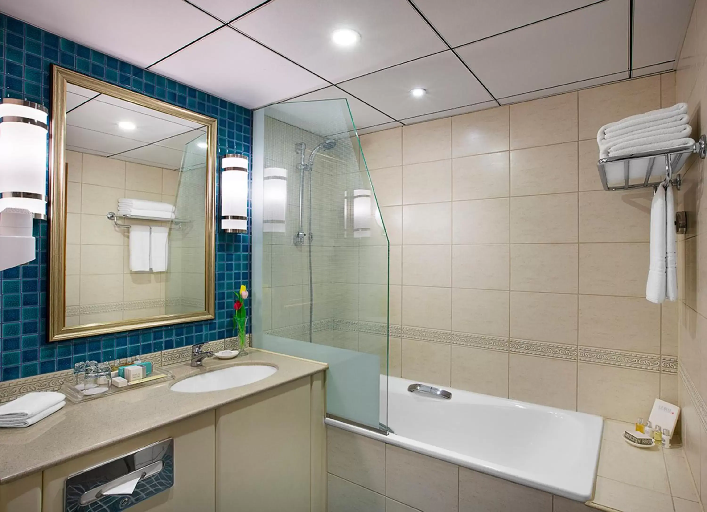 Toilet, Bathroom in Coral Beach Resort Sharjah