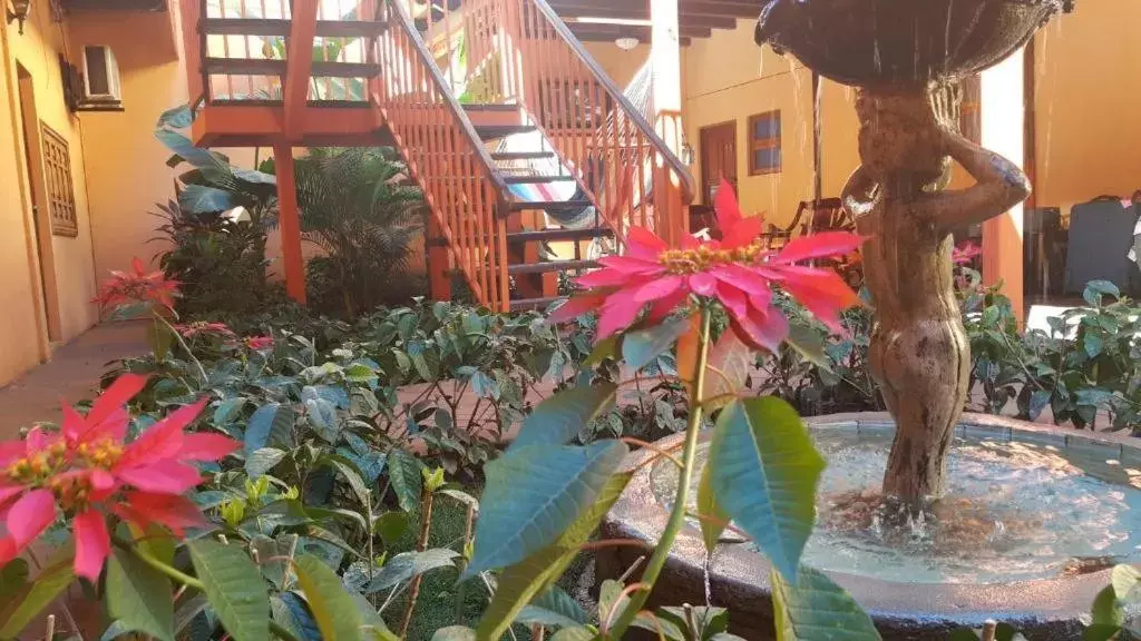 Garden view, Garden in Hotel El Maltese