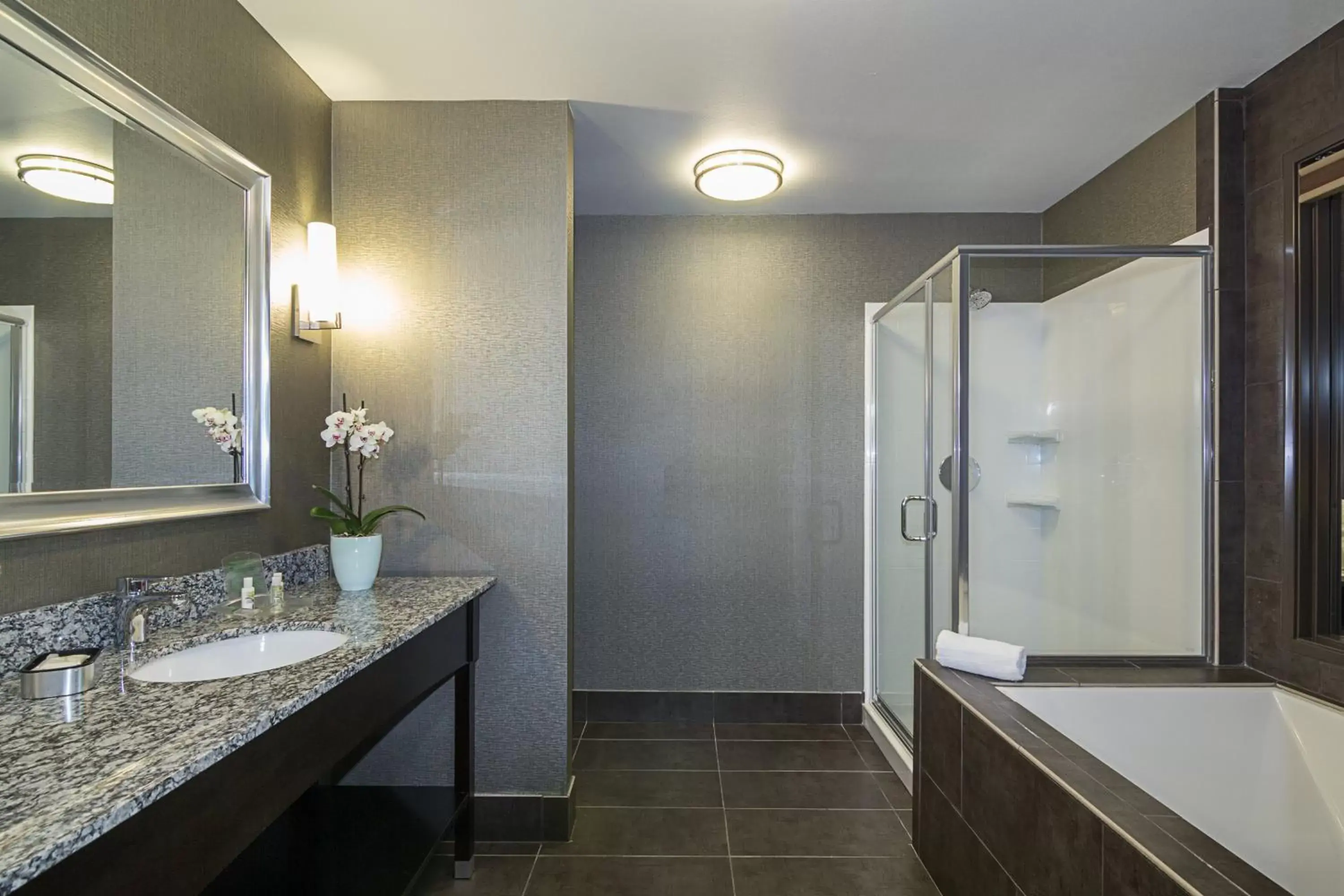 Photo of the whole room, Bathroom in Holiday Inn Hotel & Suites Silicon Valley – Milpitas, an IHG Hotel