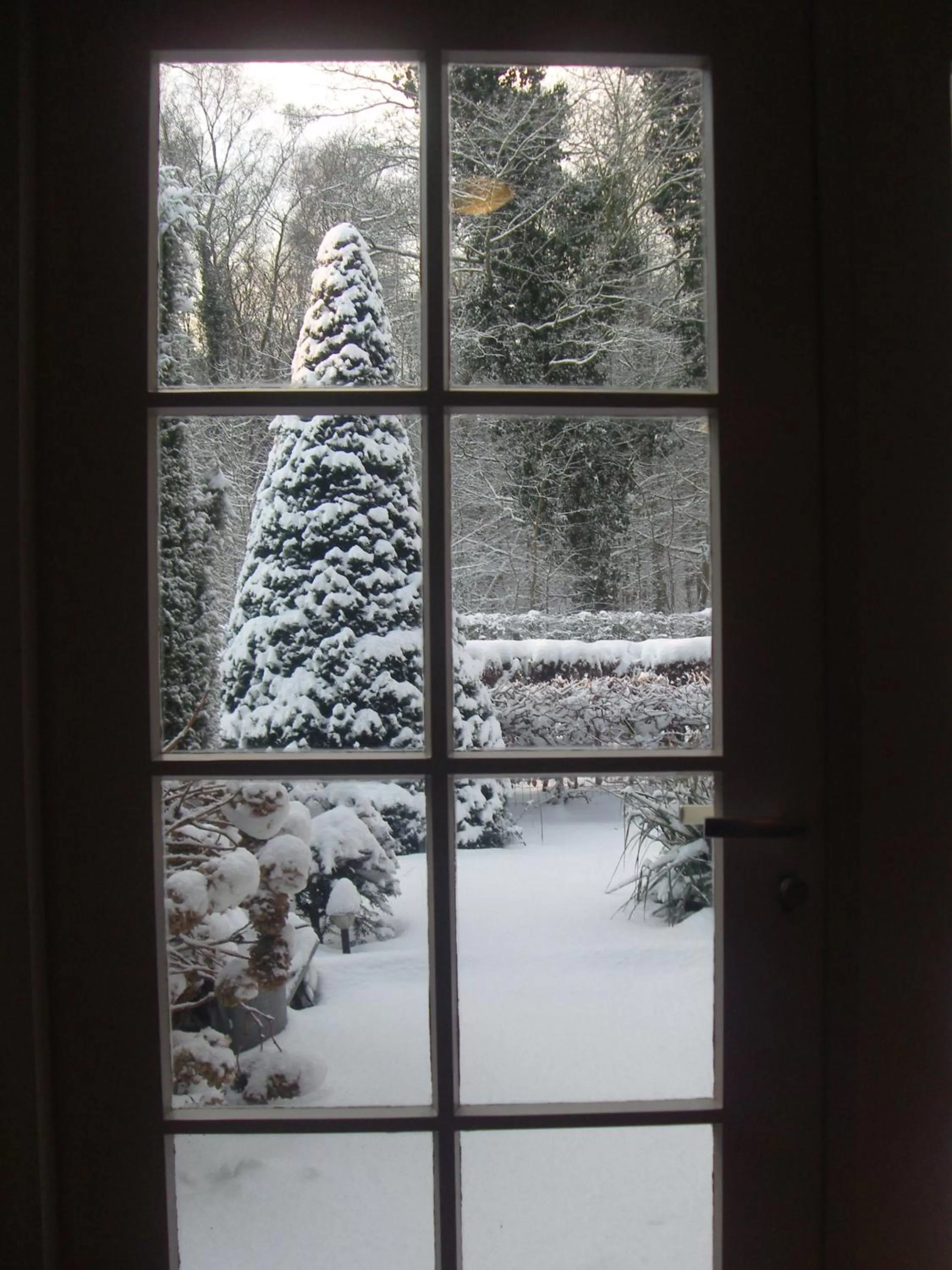 Winter in Hotel-Restaurant Het Rechthuis