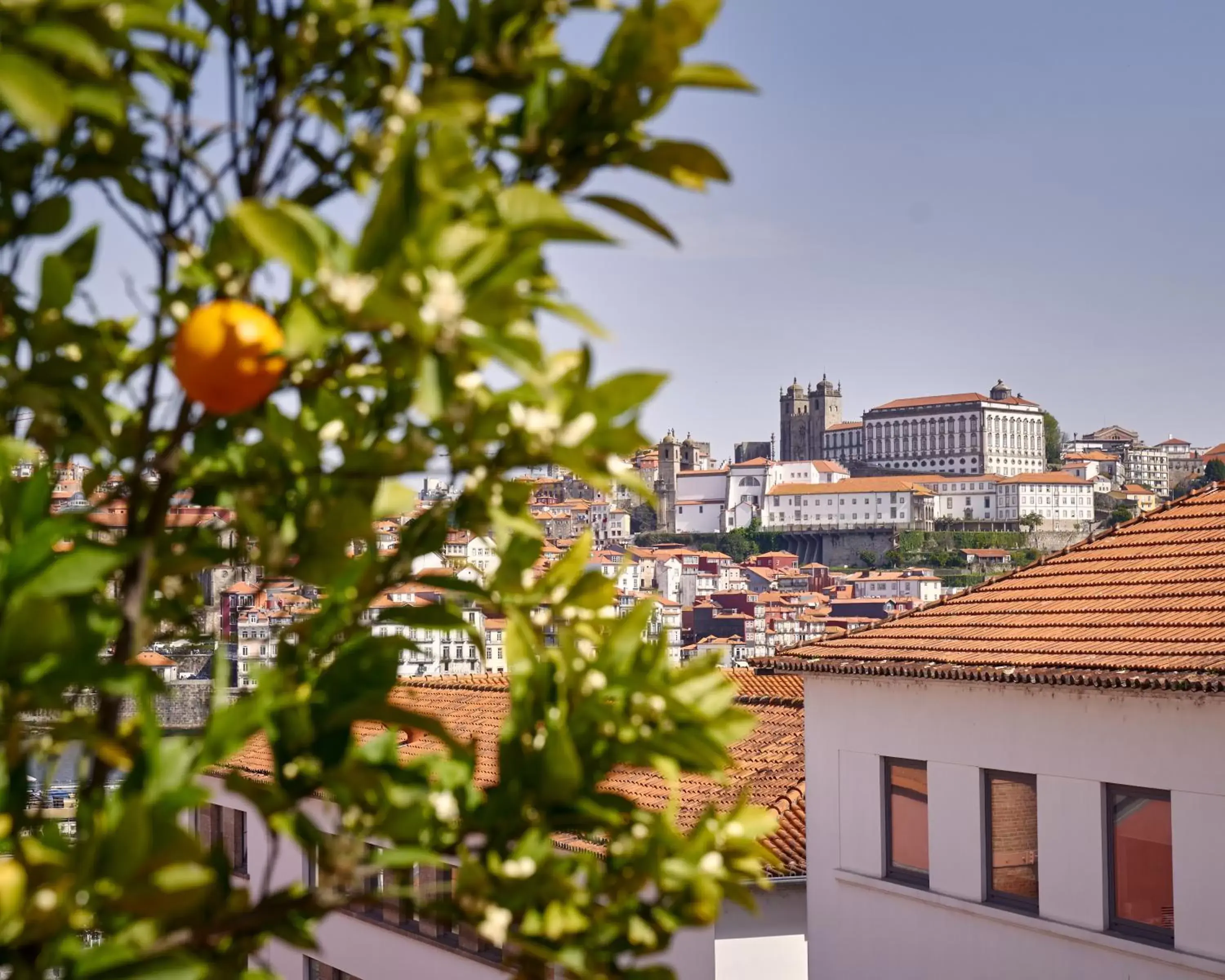 City view in The Lodge Porto Hotel