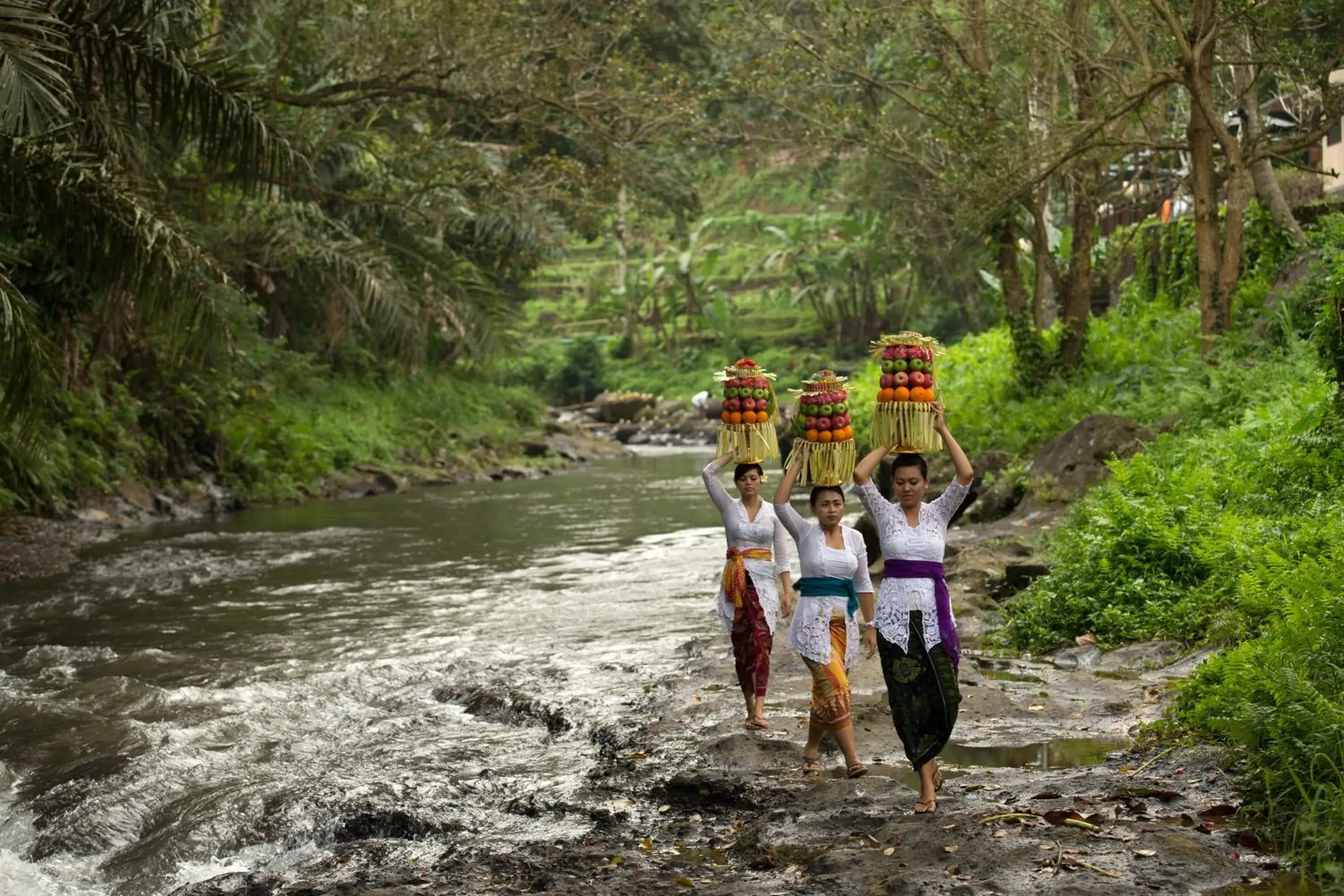 Other, Family in The Samaya Ubud Villas