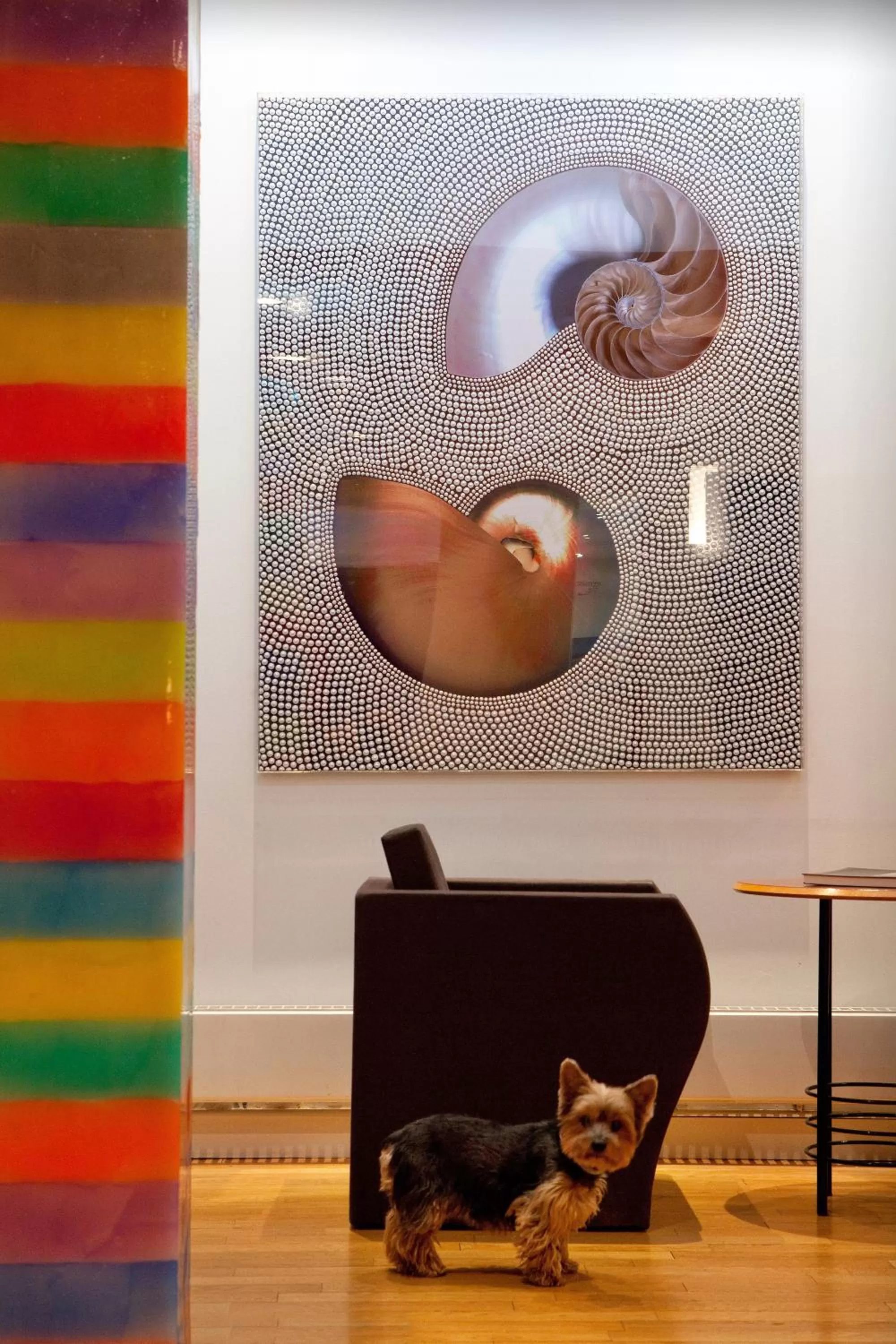 Pets in Golden Tulip Opera de Noailles