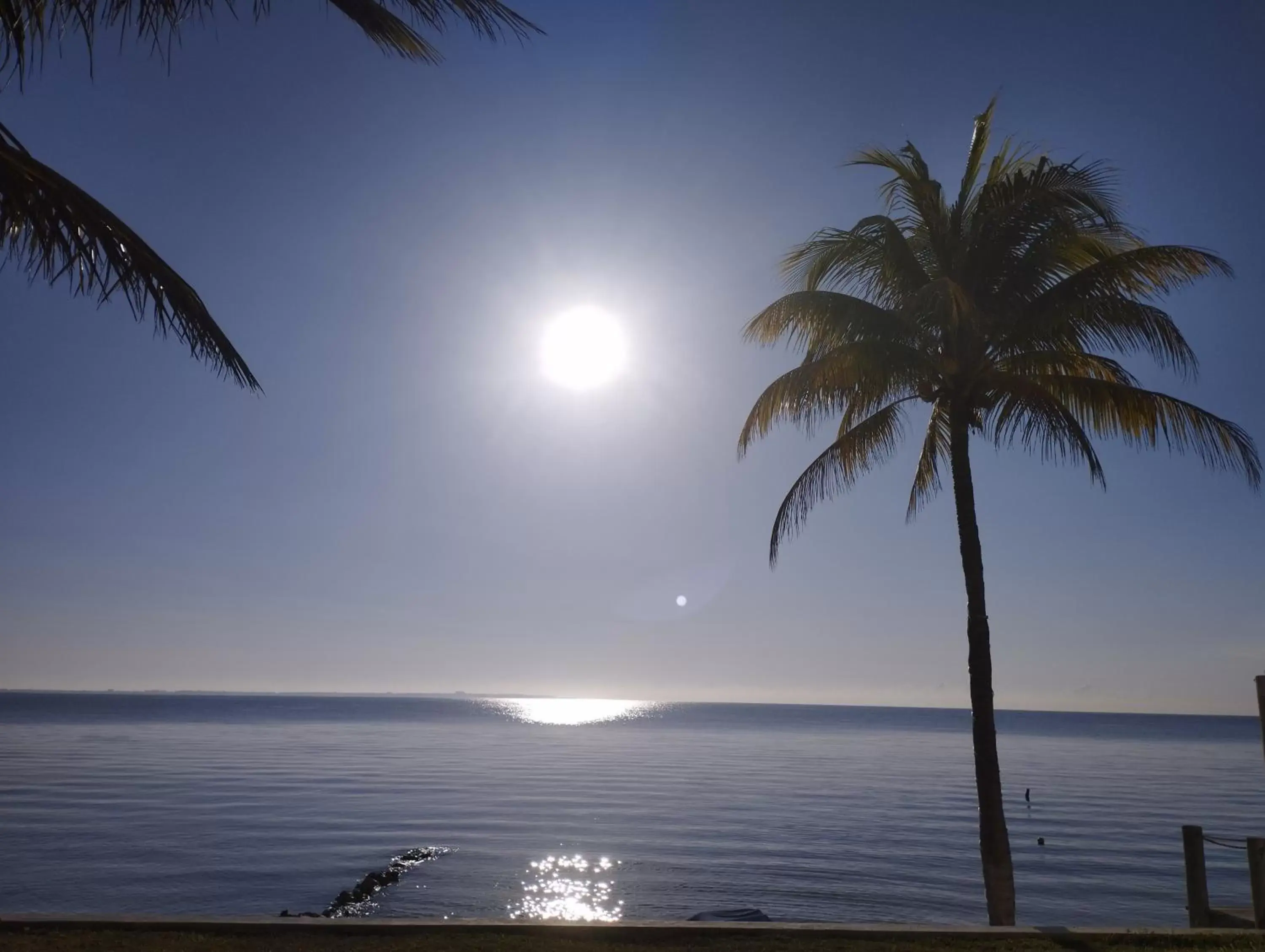 Natural landscape in Flamingo Ocean View