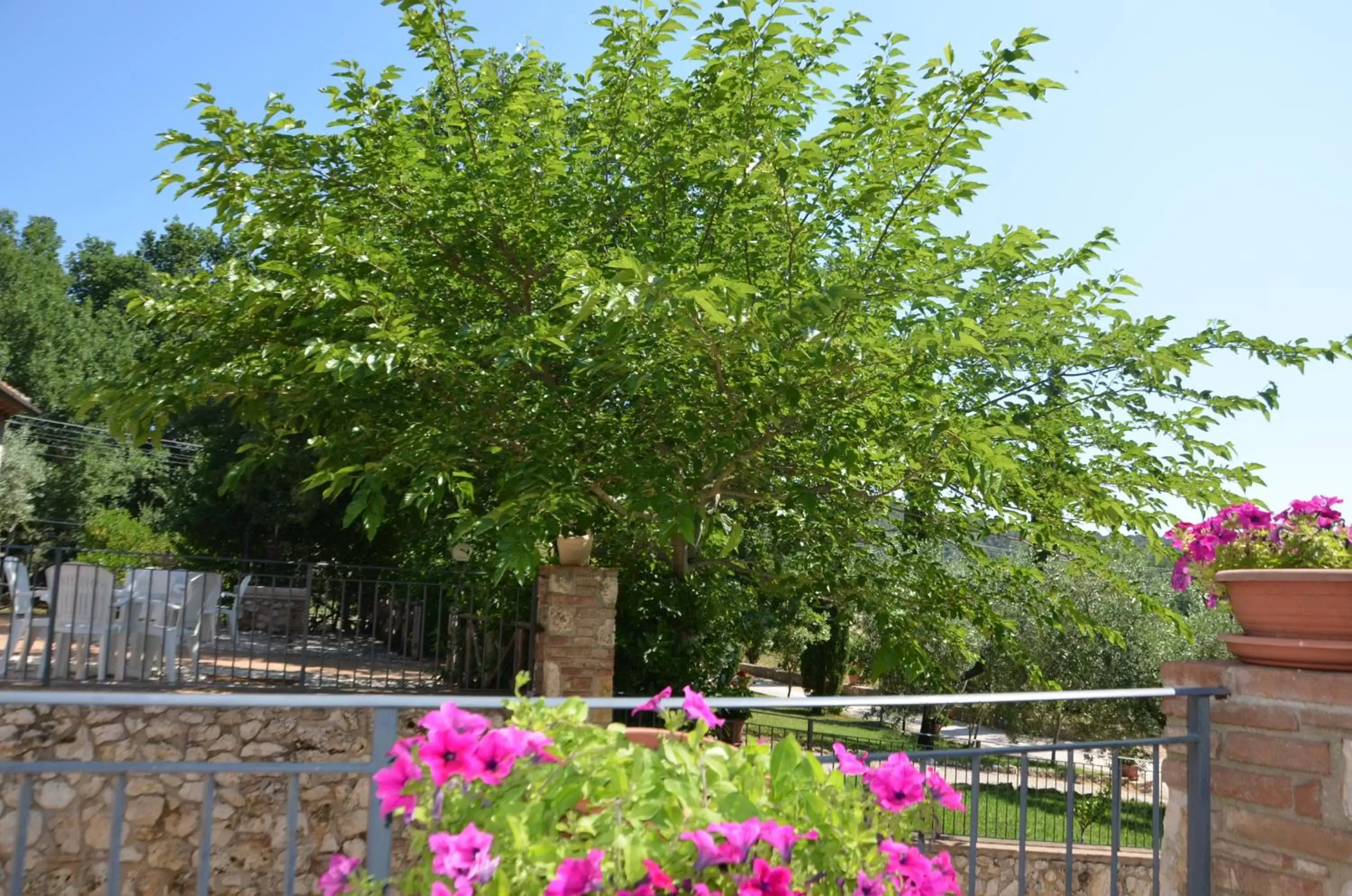 Garden view in Casale Santa Caterina