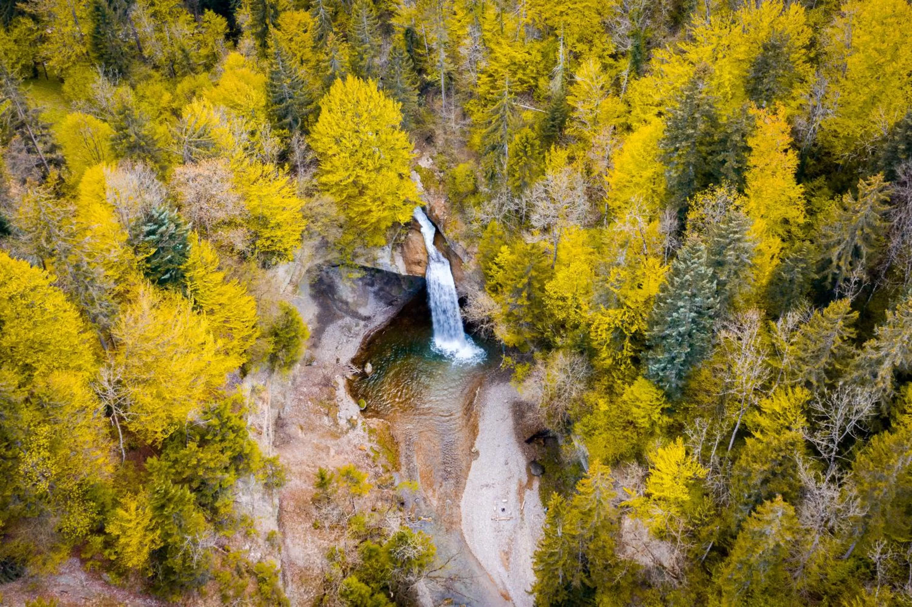 Staff in kroneLODGE - Self-Check-In Hotel