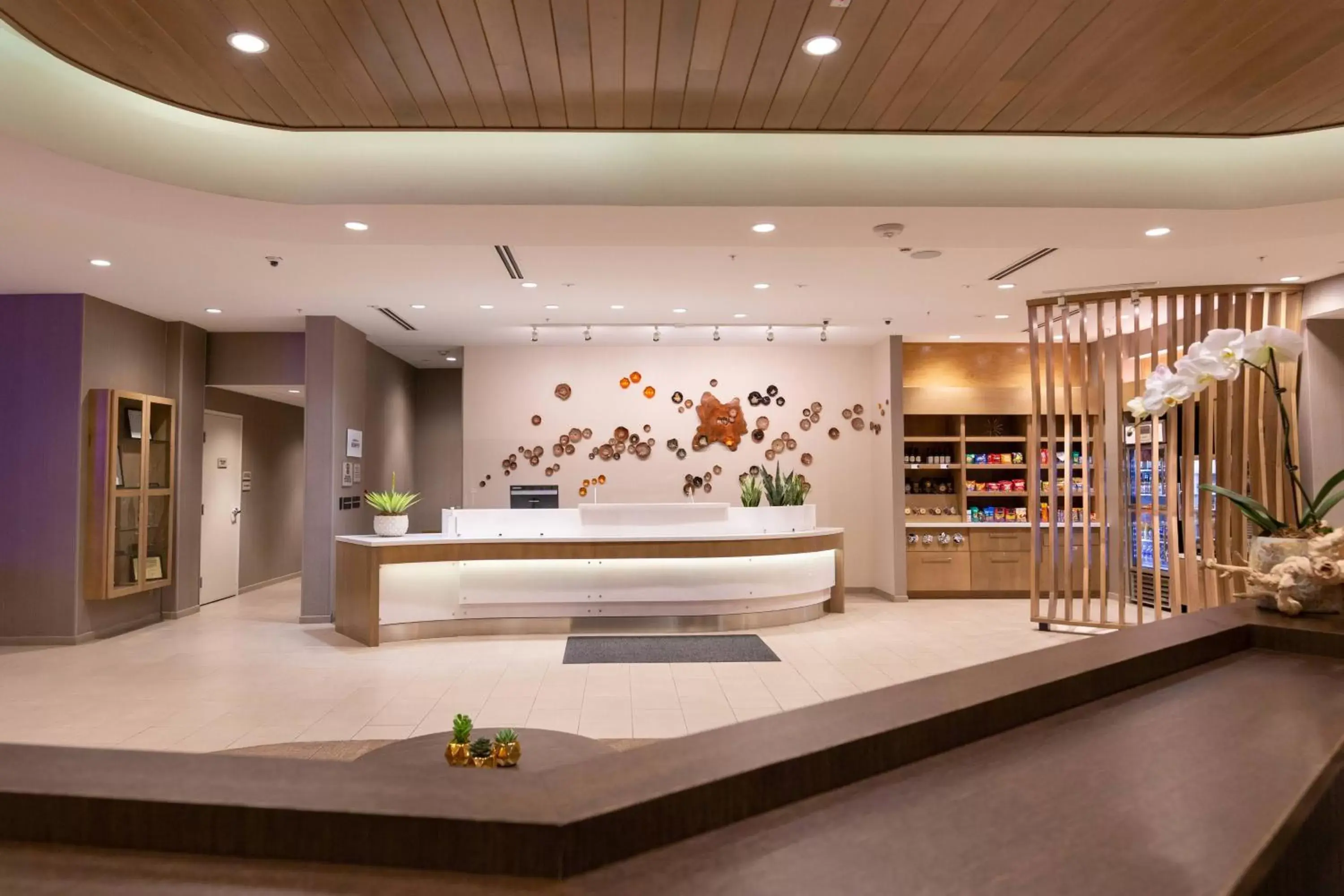 Lobby or reception, Lobby/Reception in SpringHill Suites by Marriott Austin Cedar Park