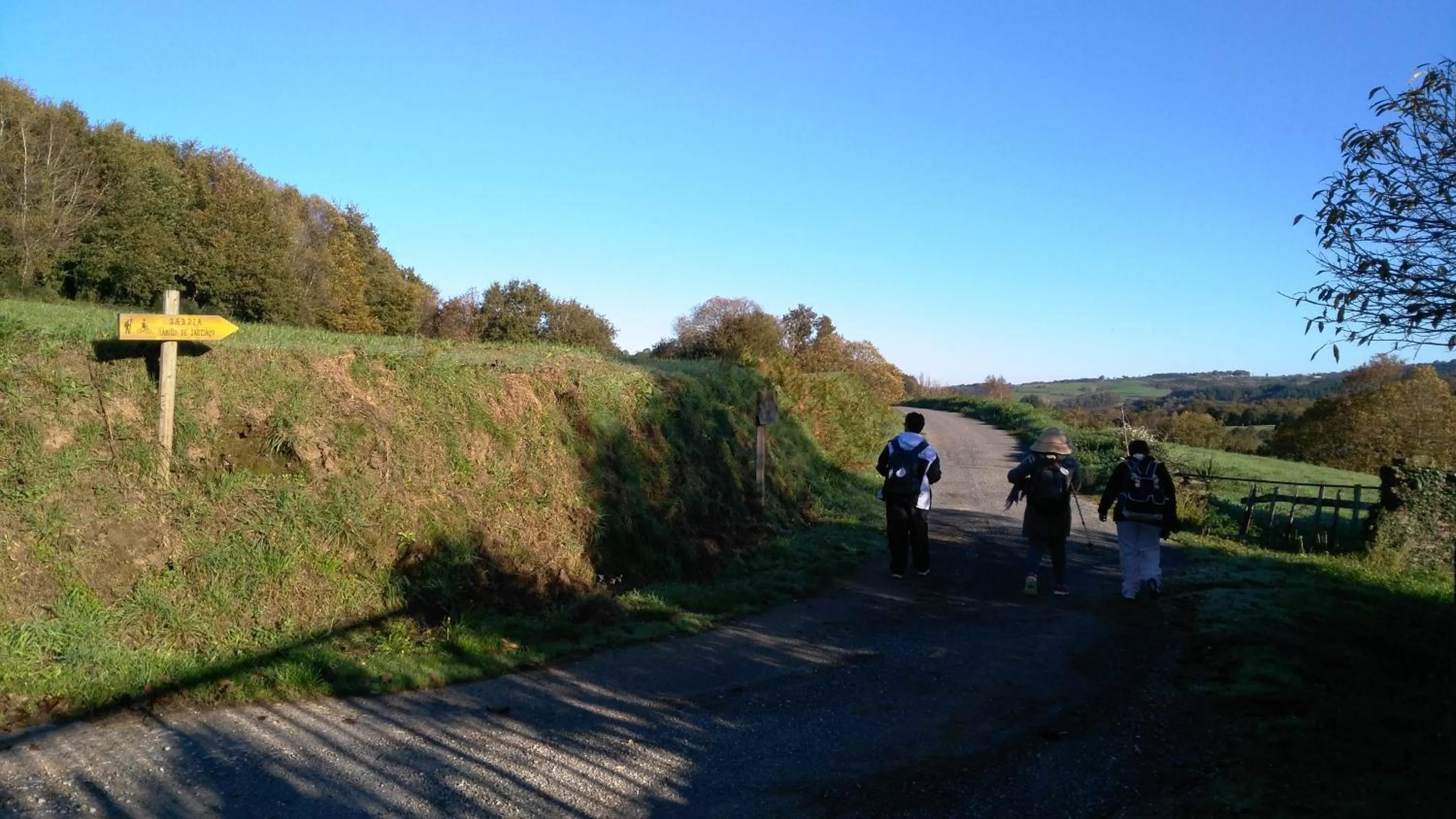Activities in Hotel Casa de Díaz