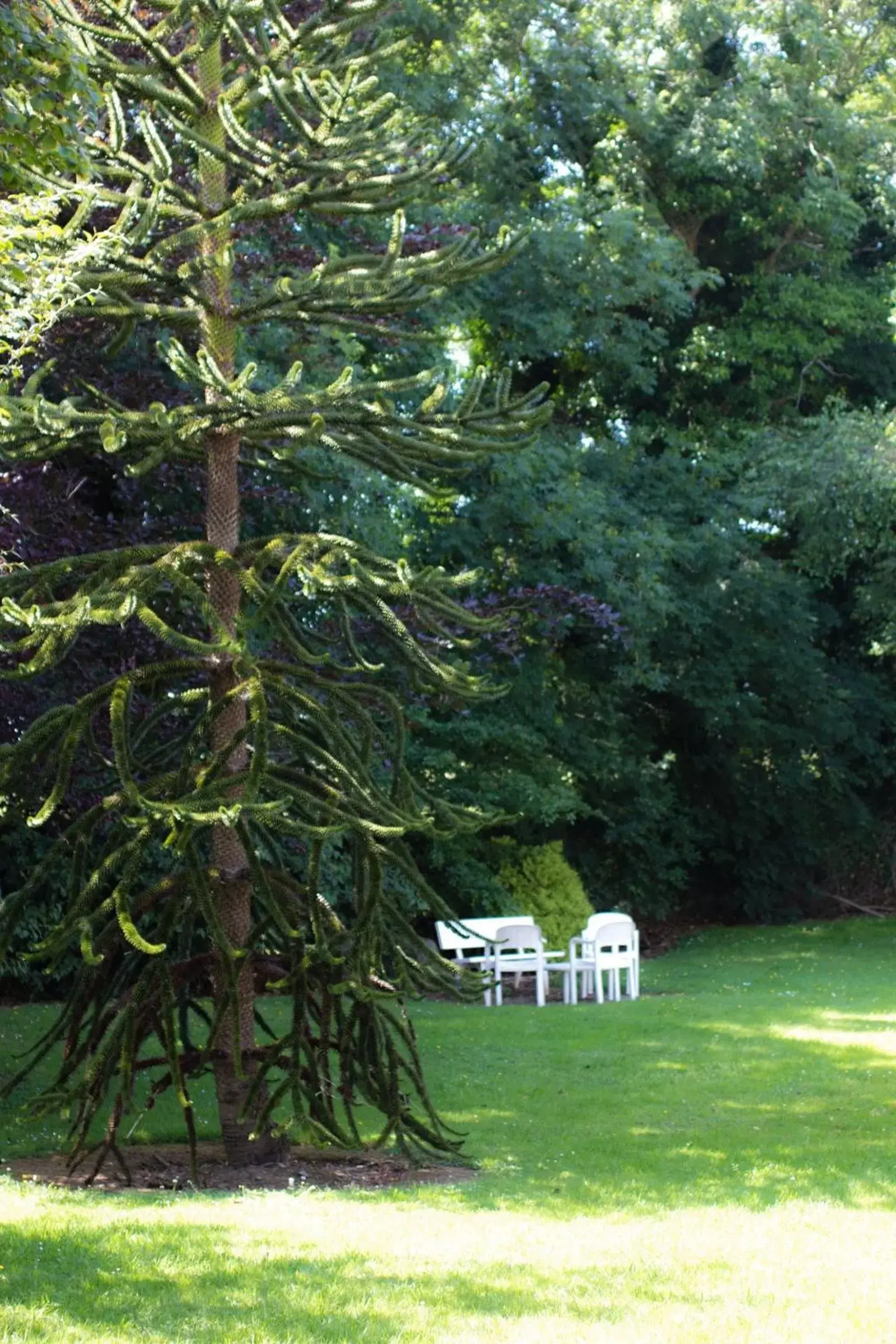 Garden in Kathleens Country House