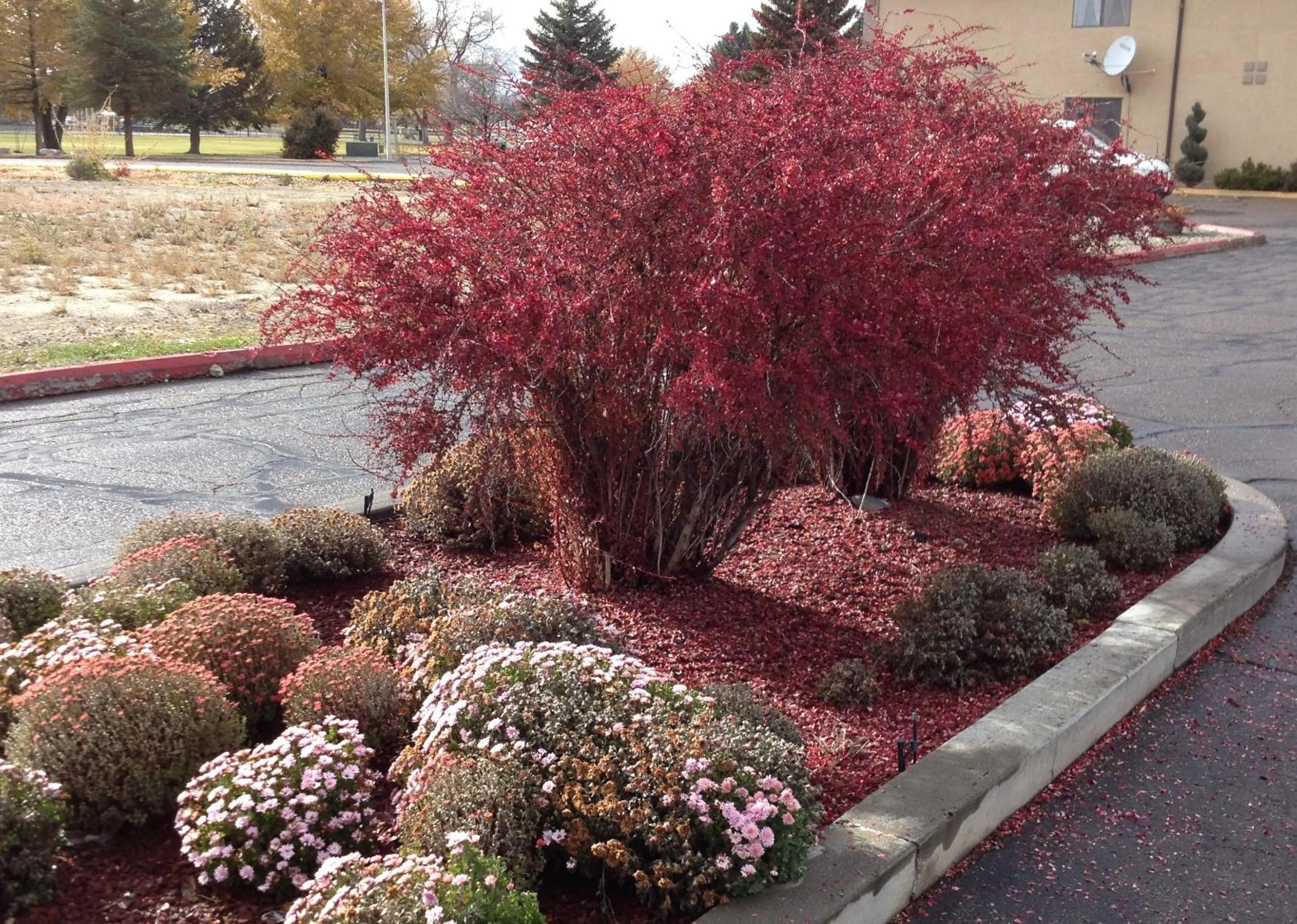 Facade/entrance in Travelodge by Wyndham Elko NV