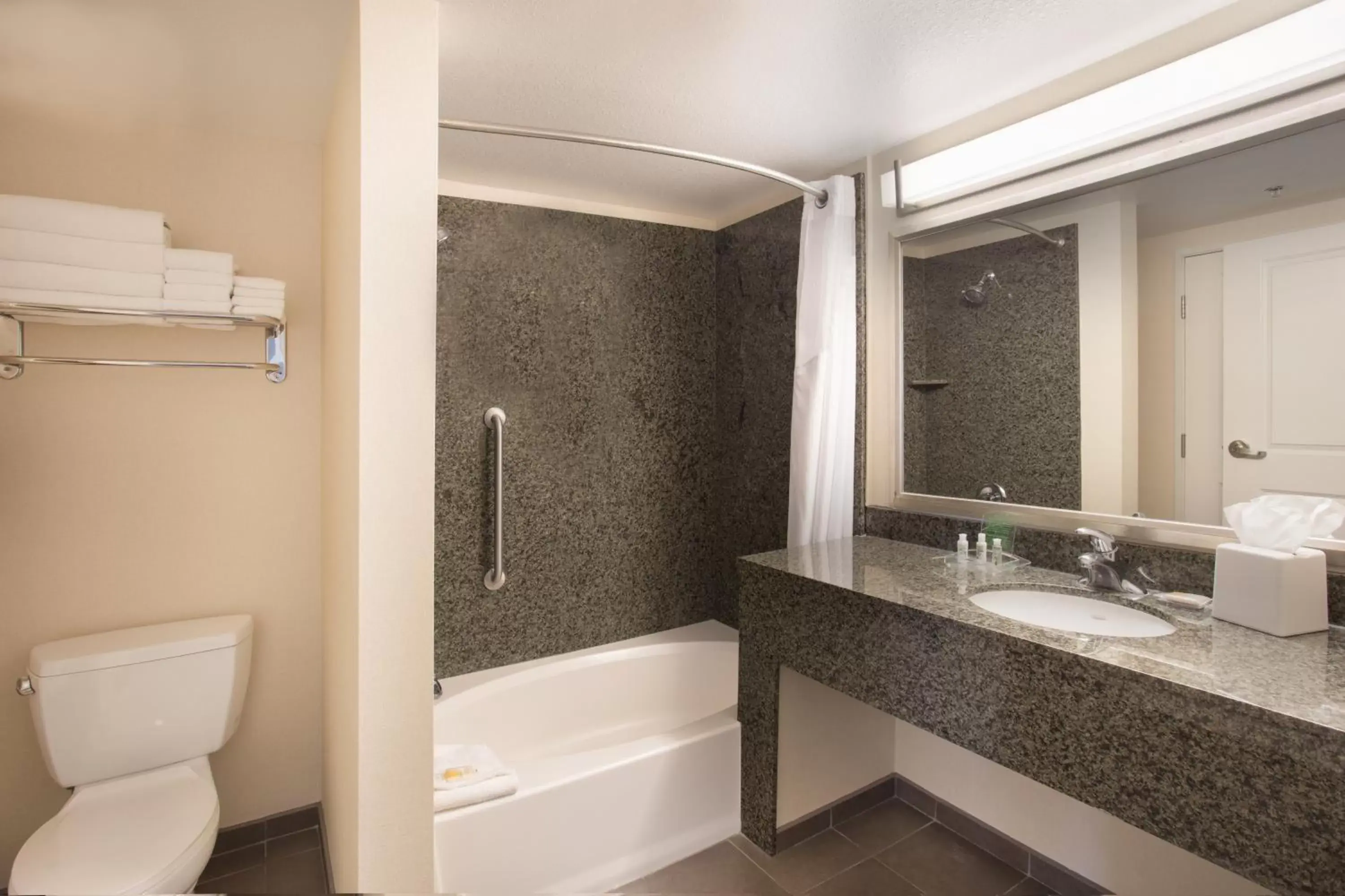 Bathroom in Holiday Inn Scottsdale North- Airpark, an IHG Hotel