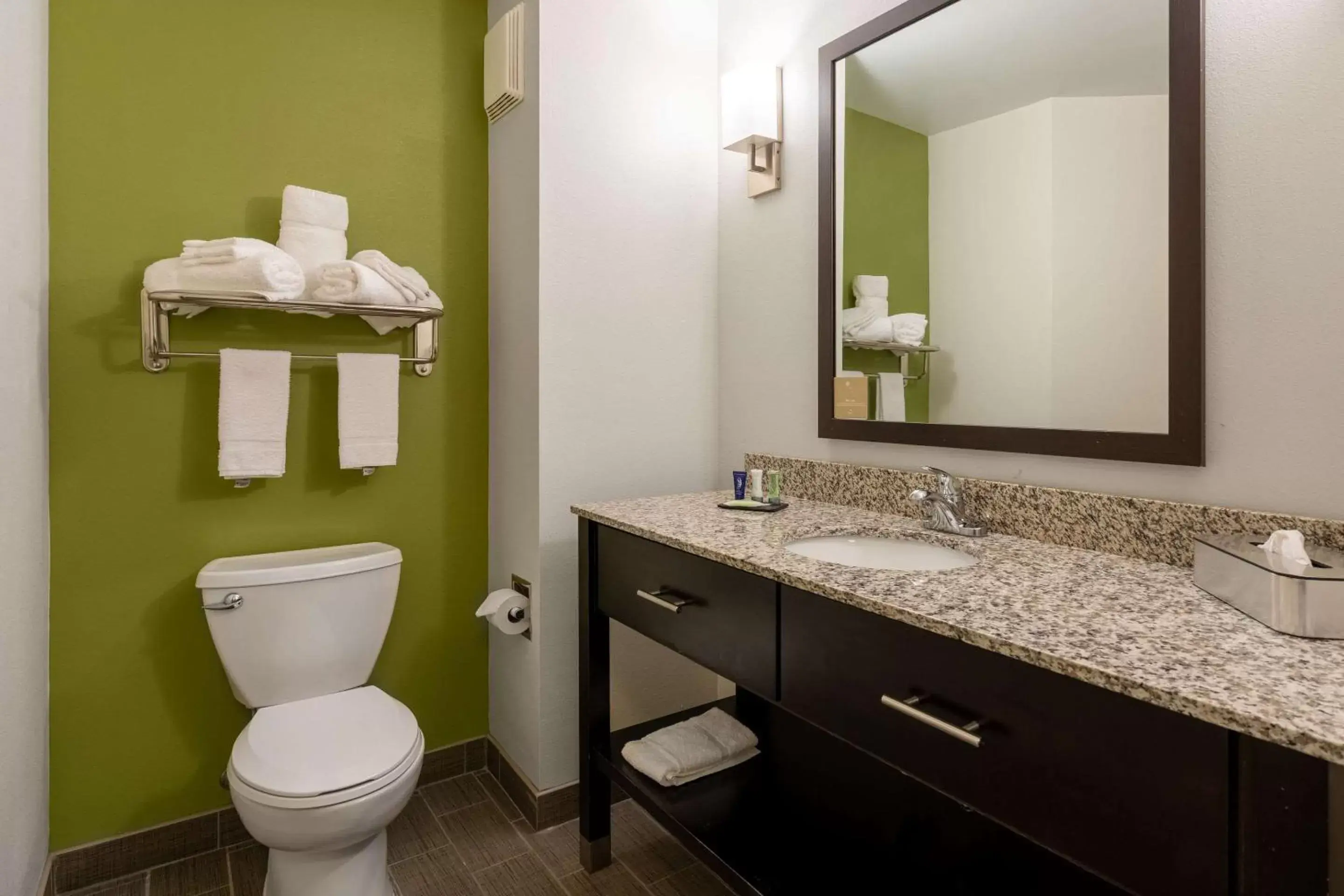 Photo of the whole room, Bathroom in Sleep Inn & Suites Harbour Pointe Midlothian
