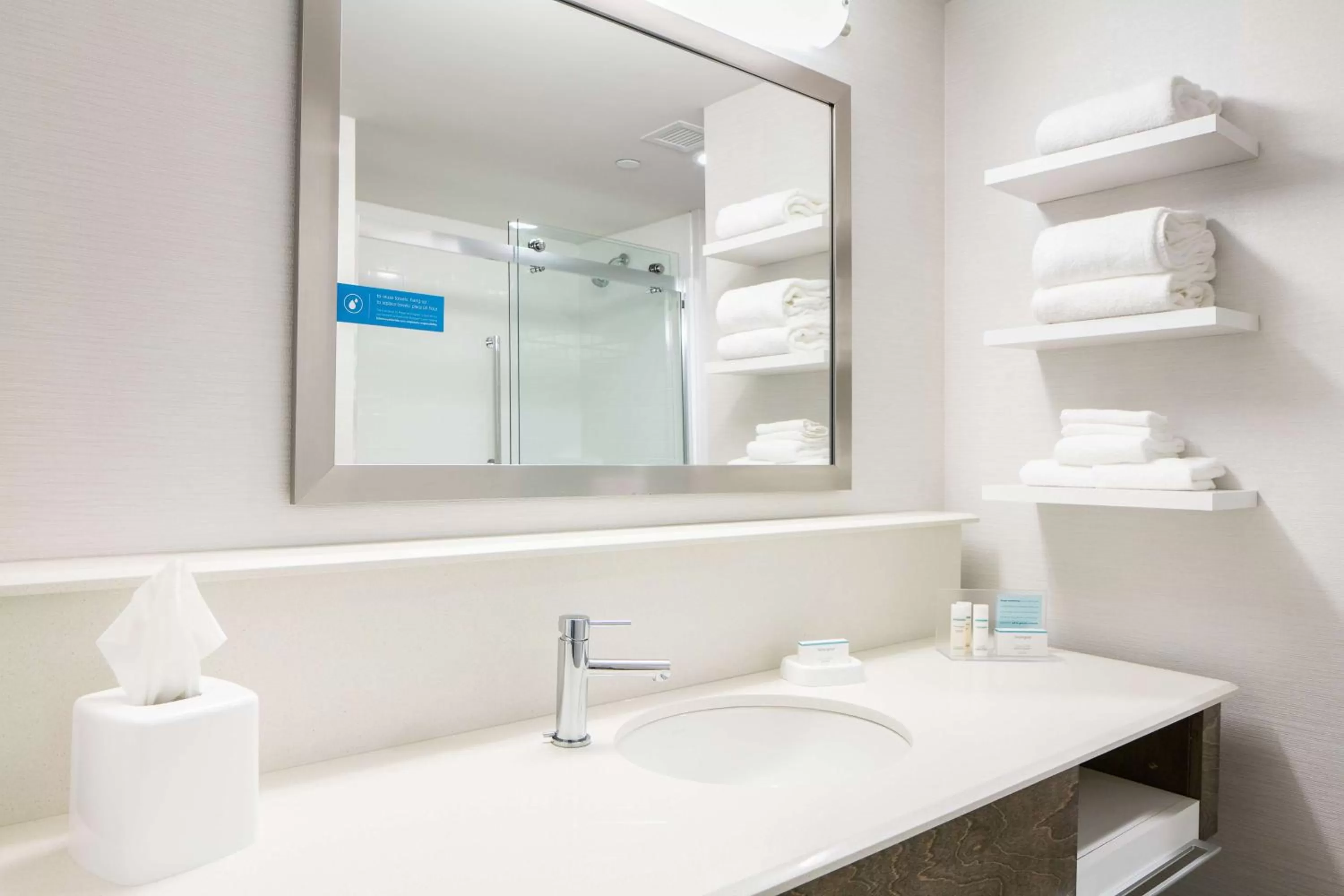 Bathroom in Hampton Inn & Suites Mason City, IA