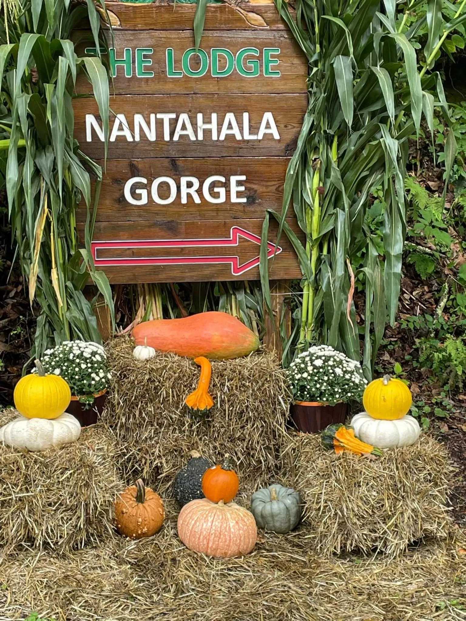 The Lodge Nantahala River