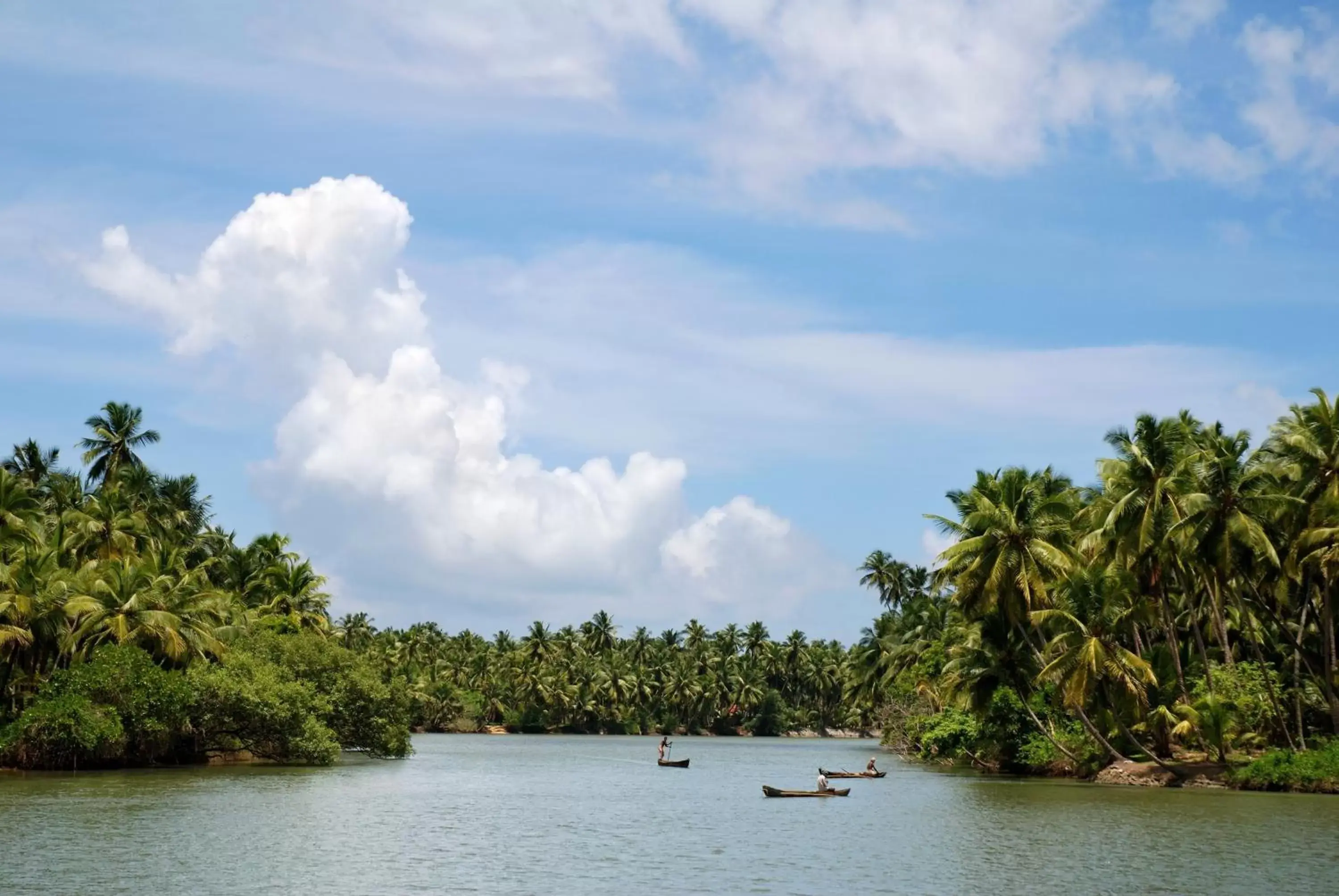 Area and facilities in Paradise Isle Beach Resort