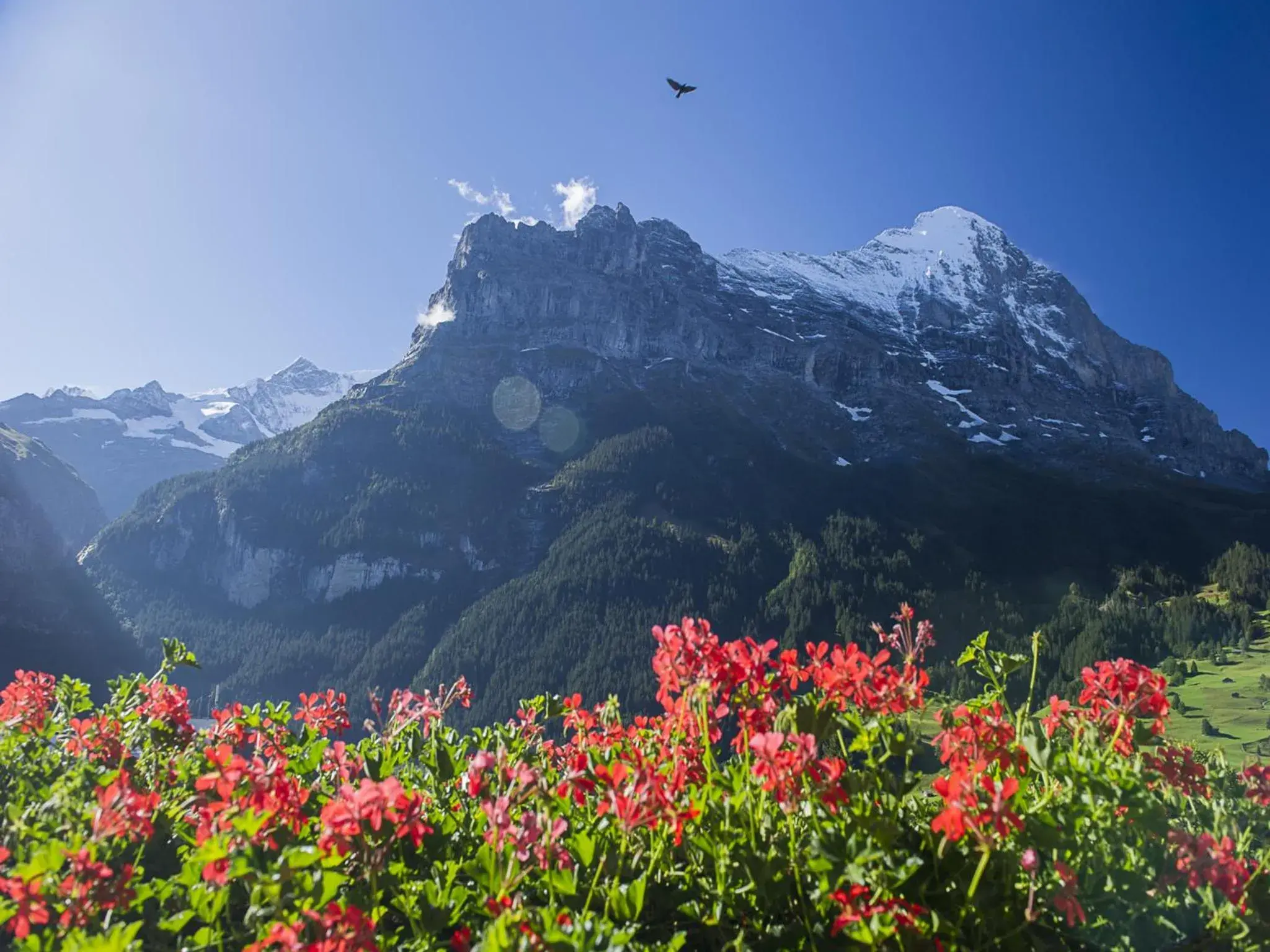 View (from property/room), Mountain View in Hotel Bernerhof Grindelwald