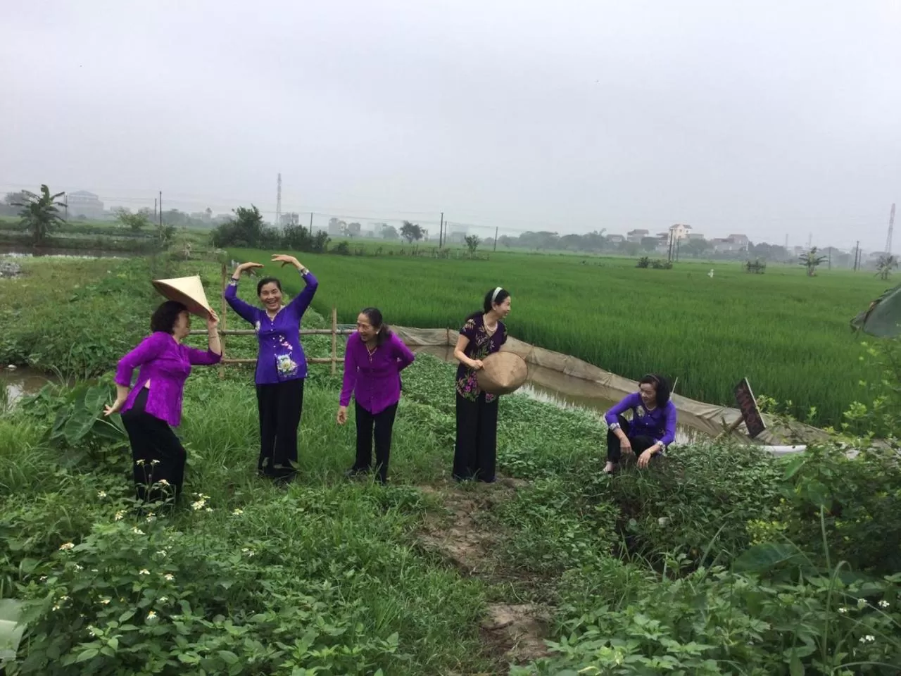 Natural landscape in Lotus Hotel Ninh Bình