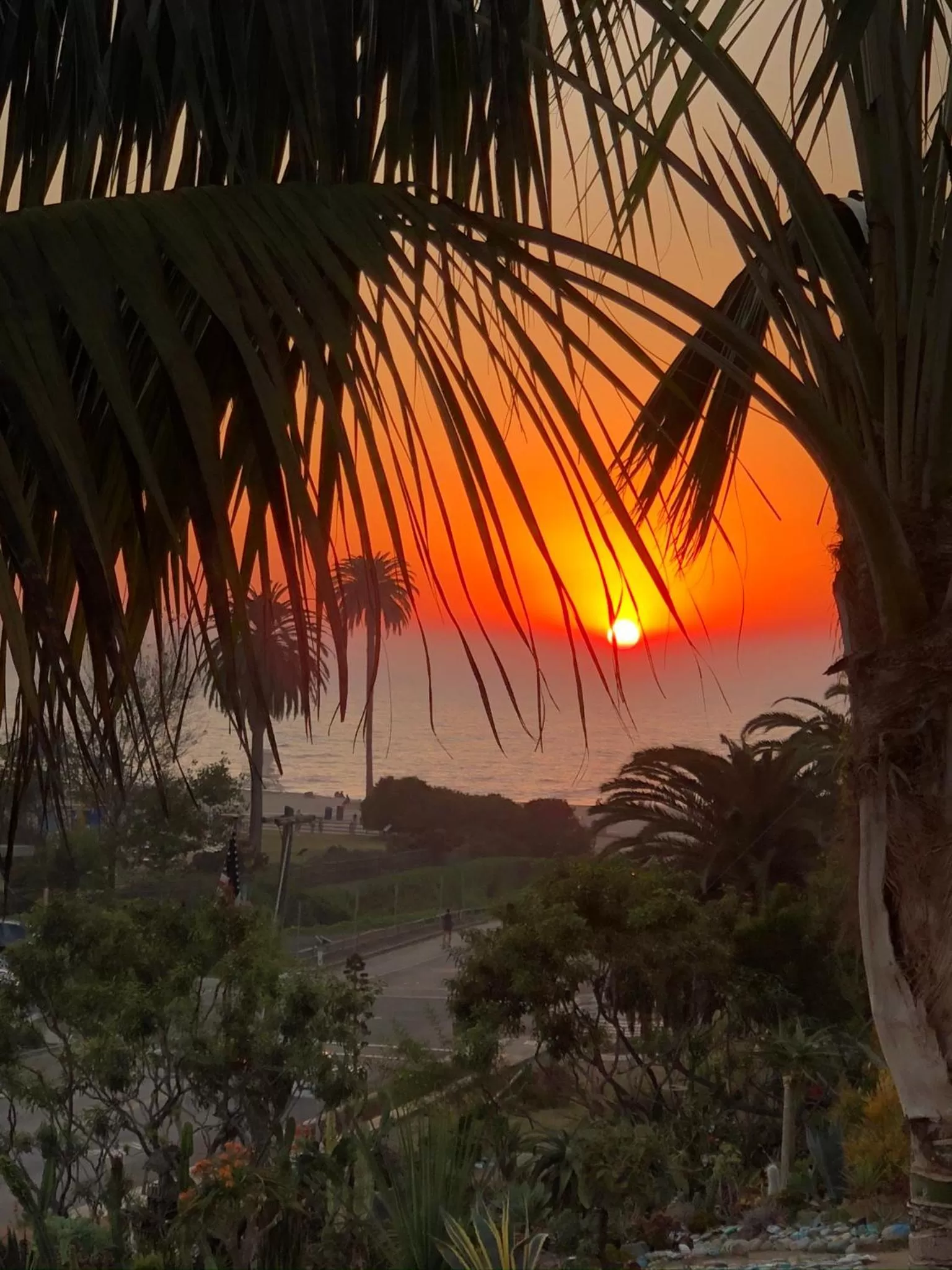Sunset in Moonlight Beach Motel
